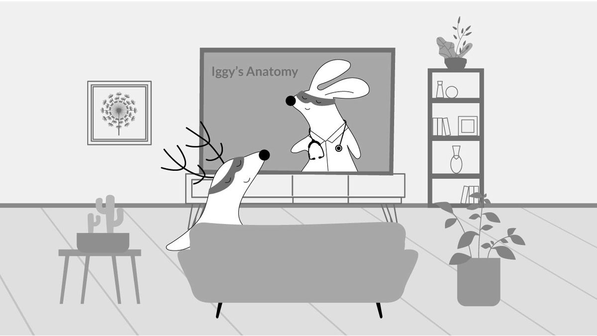 Language Learning with Netflix