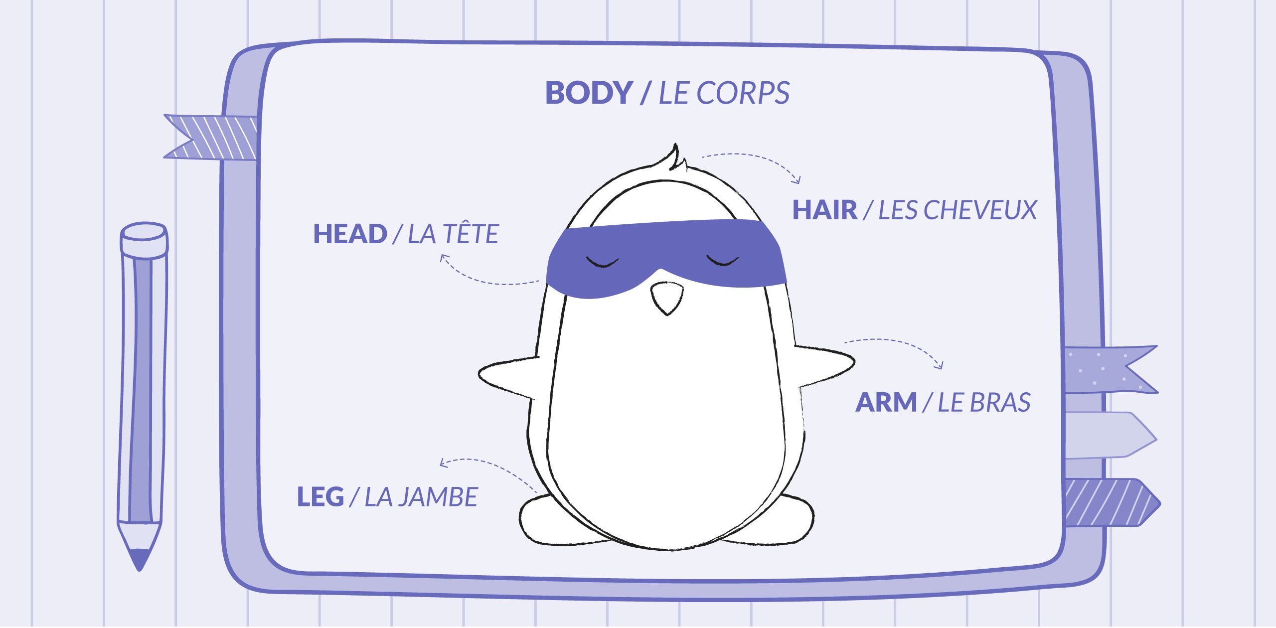 Body parts in French