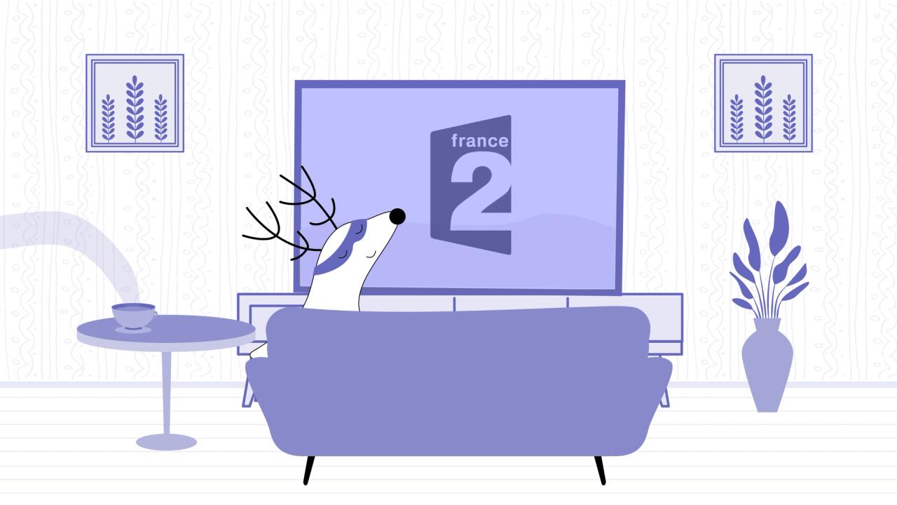 French TV Channels to Watch From Anywhere Langster