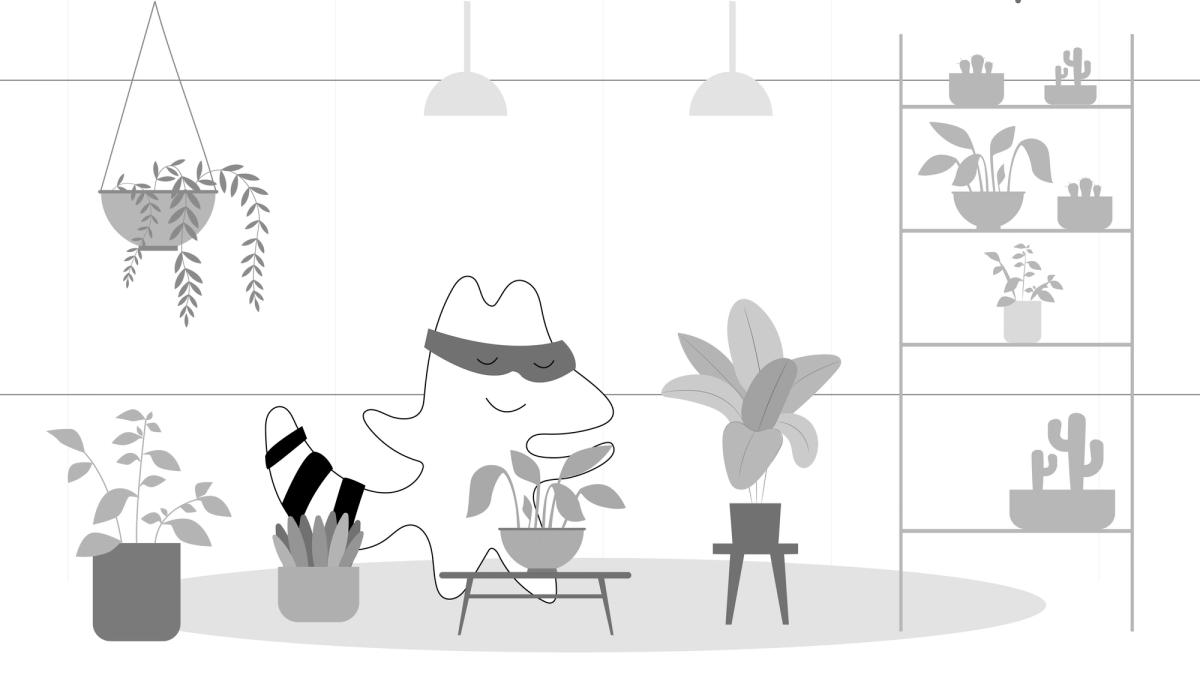  Iggy at home, looking at different vases with flowers. 