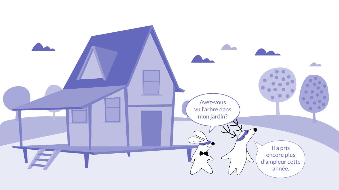 Französische Artikel