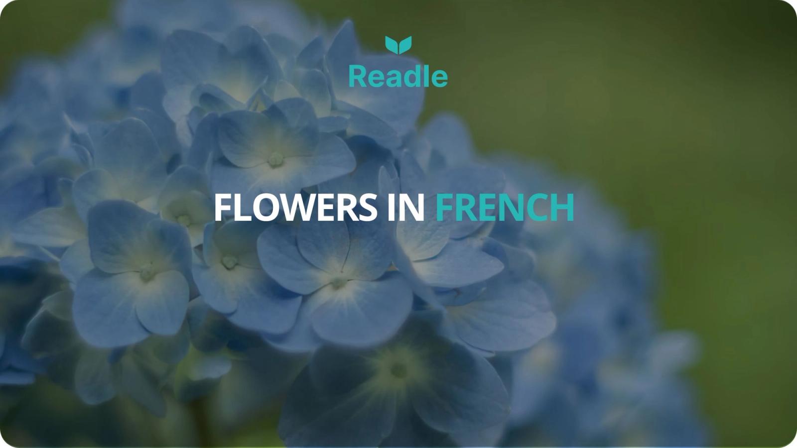 Iggy holding up a flower and pointing at the petals, saying "les petales." Next to them, soren points at the stem and says "la tiges."
