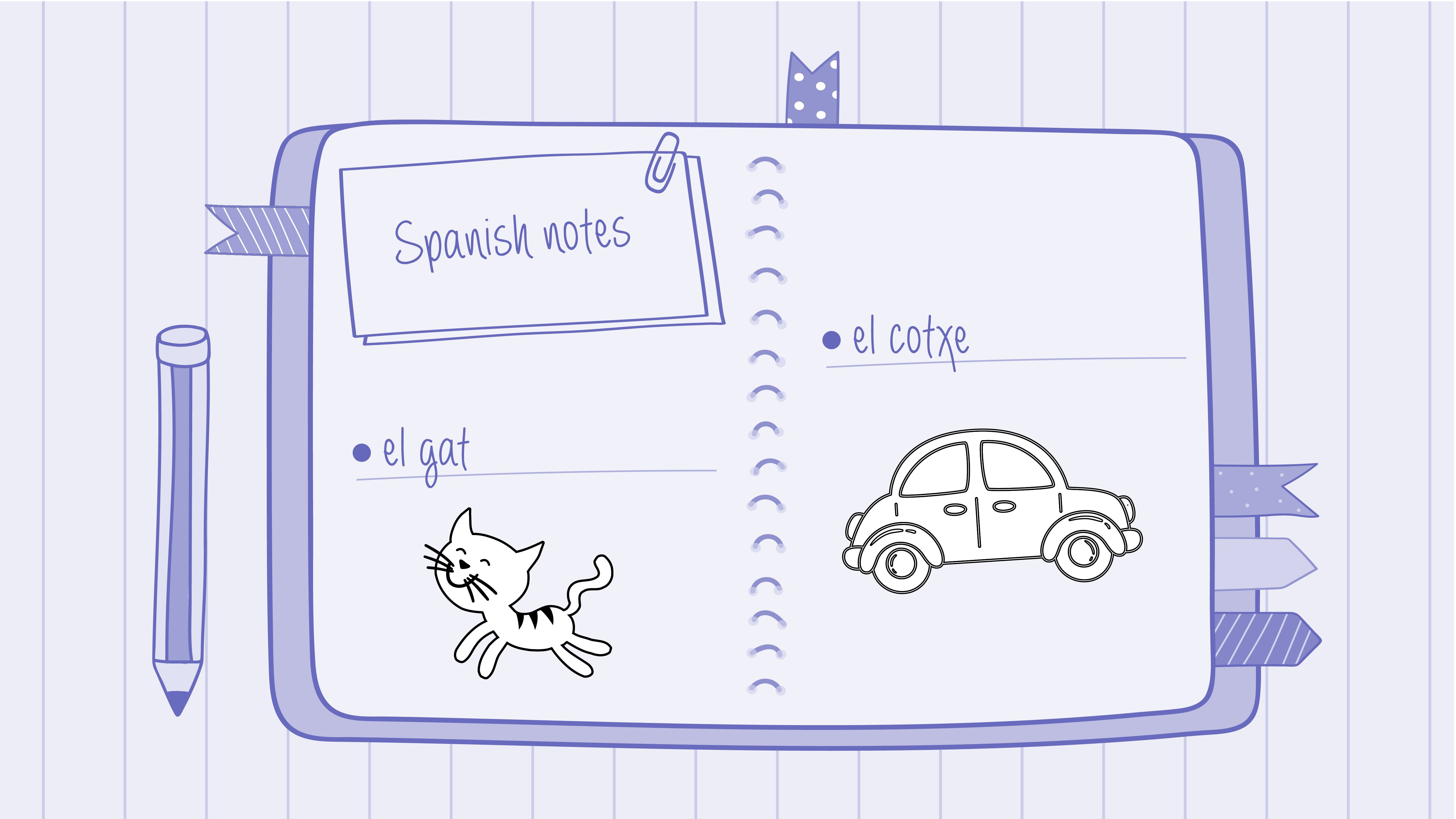 Another drawing of a notebook that says “el gat,” a drawing of a cat and “el cotxe,” and a drawing of a car.