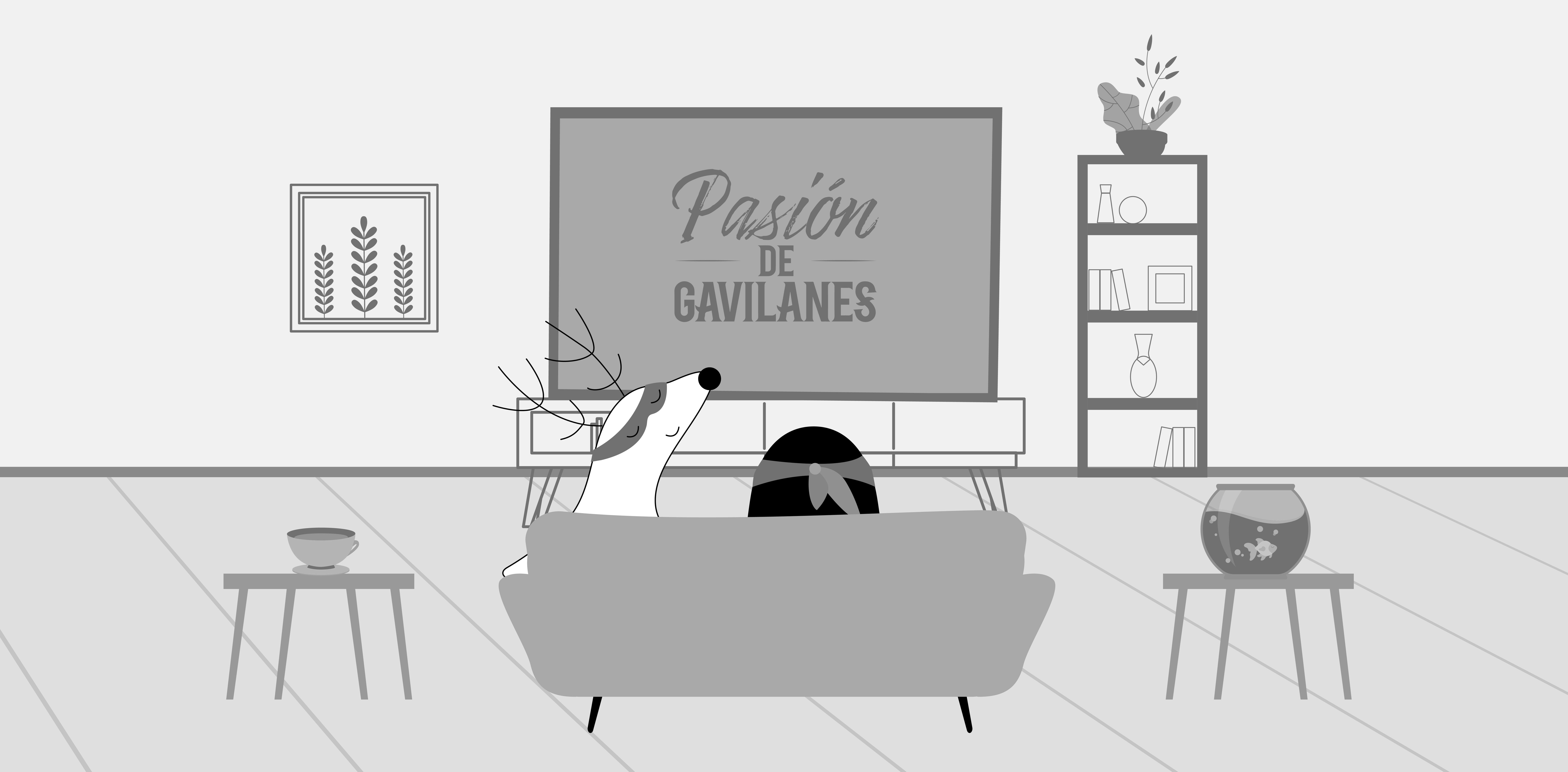 Soren and Pocky are watching a Spanish telenovela, Pasiòn de Gavilanes, on TV.