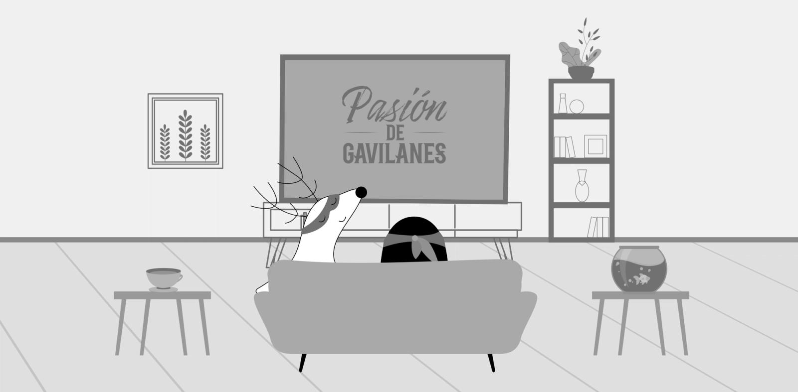 Soren and Pocky are watching a Spanish telenovela, Pasiòn de Gavilanes, on TV.