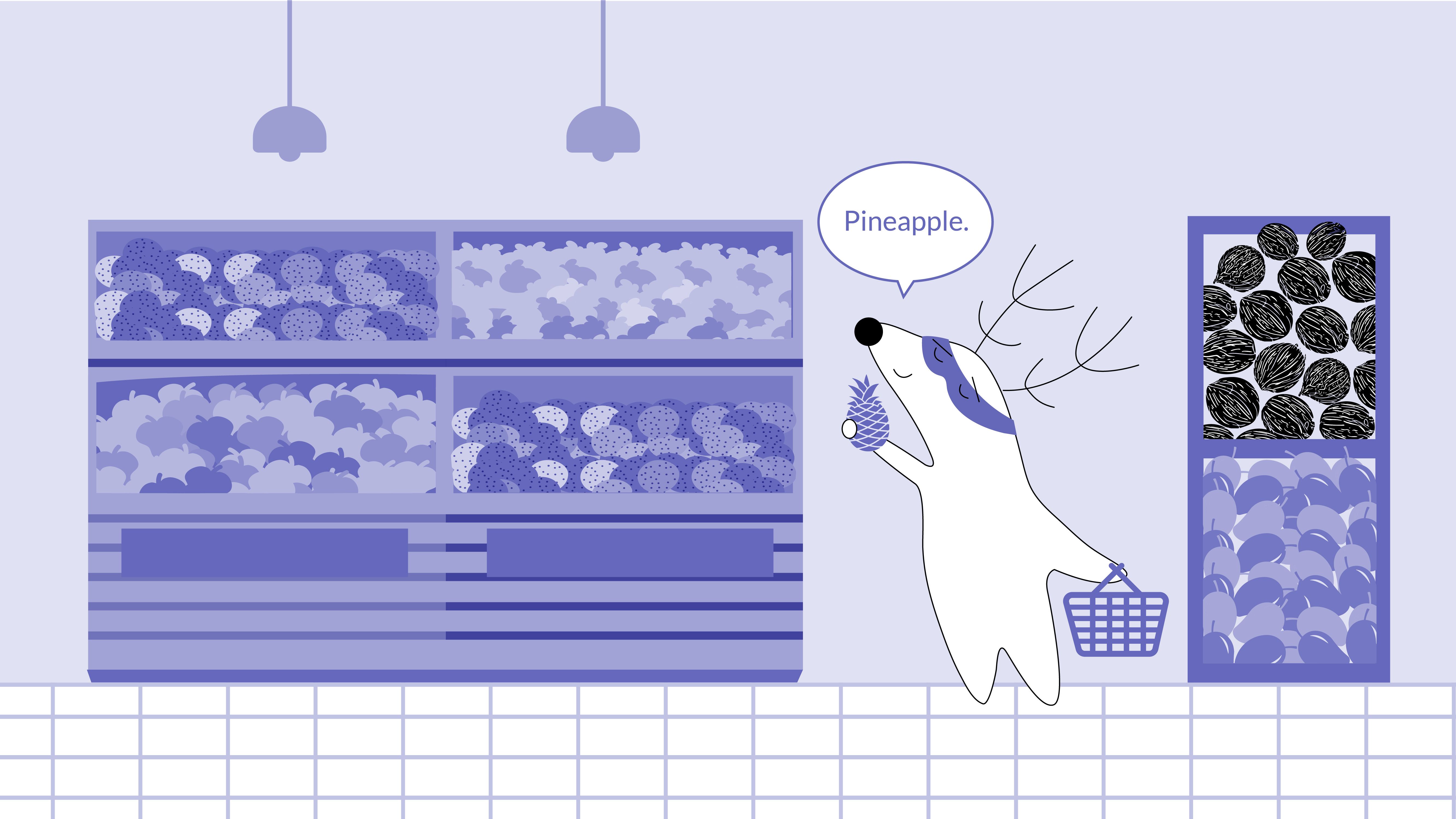 Soren grabs a couple of tropical fruits, like pineapples, coconuts, and mangoes.