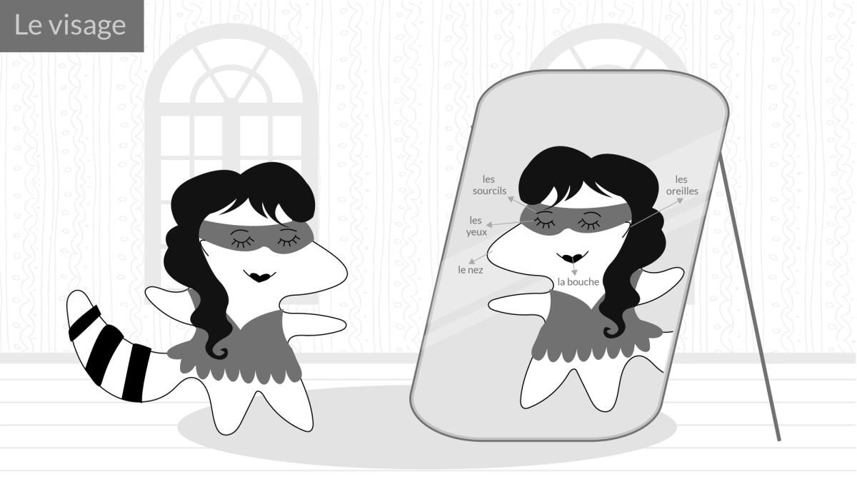 Iggy looks in the mirror, in her reflection, we can see facial features named in French: "les yeux" for eyes, "les oreilles" for ears, "les sourcils" for eyebrows, "le nez" for nose, "la bouche" for mouth. In the high right corner, there is the word “le visage” signifying that the illustration describes facial features.