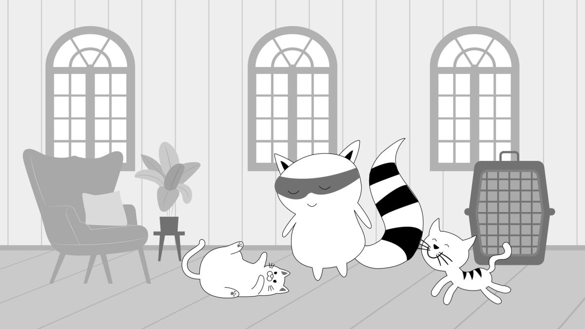 Benji is petting a bunch of cats at home.
