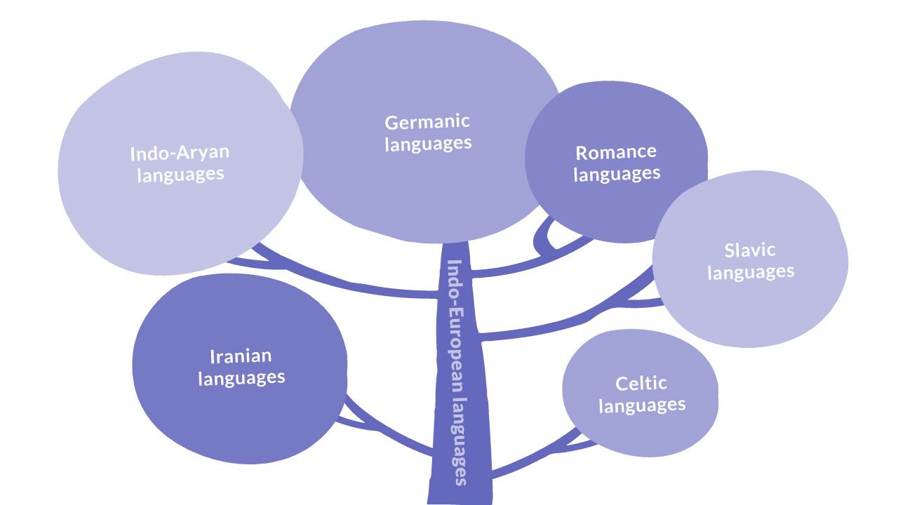 English language family