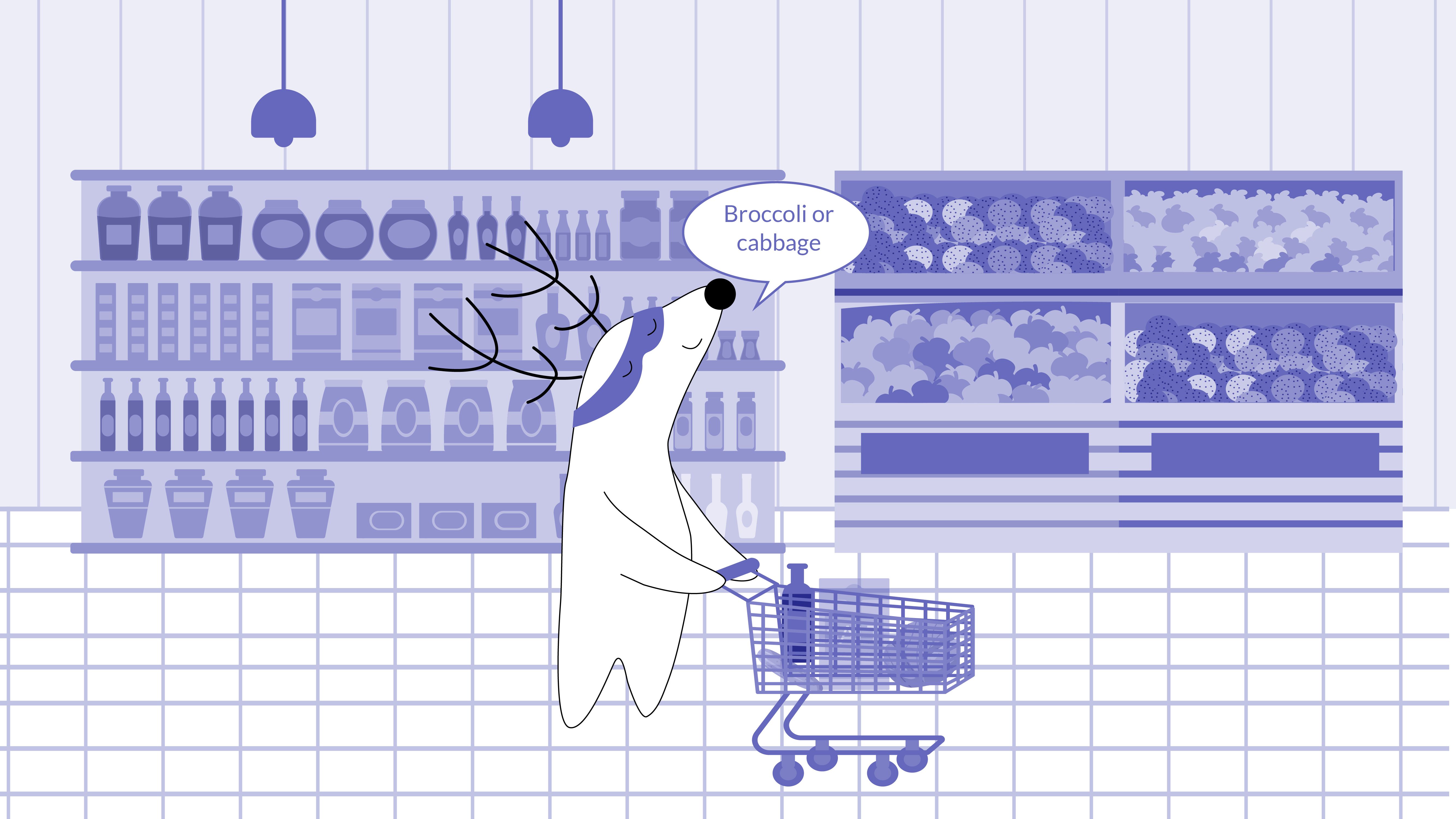 Again Soren is at the supermarket, choosing between broccoli and cabbage.