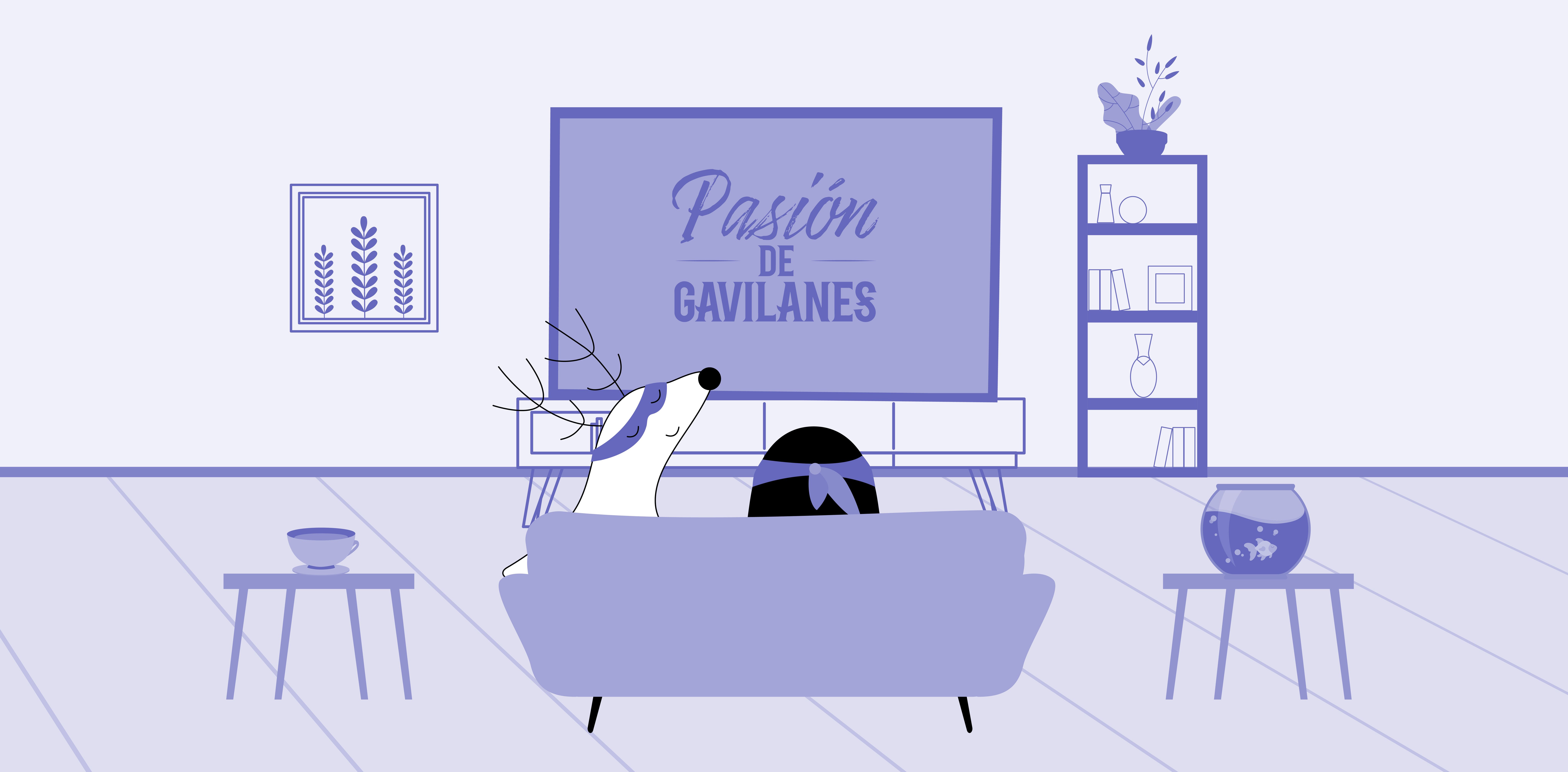 Soren and Pocky are watching a Spanish telenovela, Pasiòn de Gavilanes, on TV.