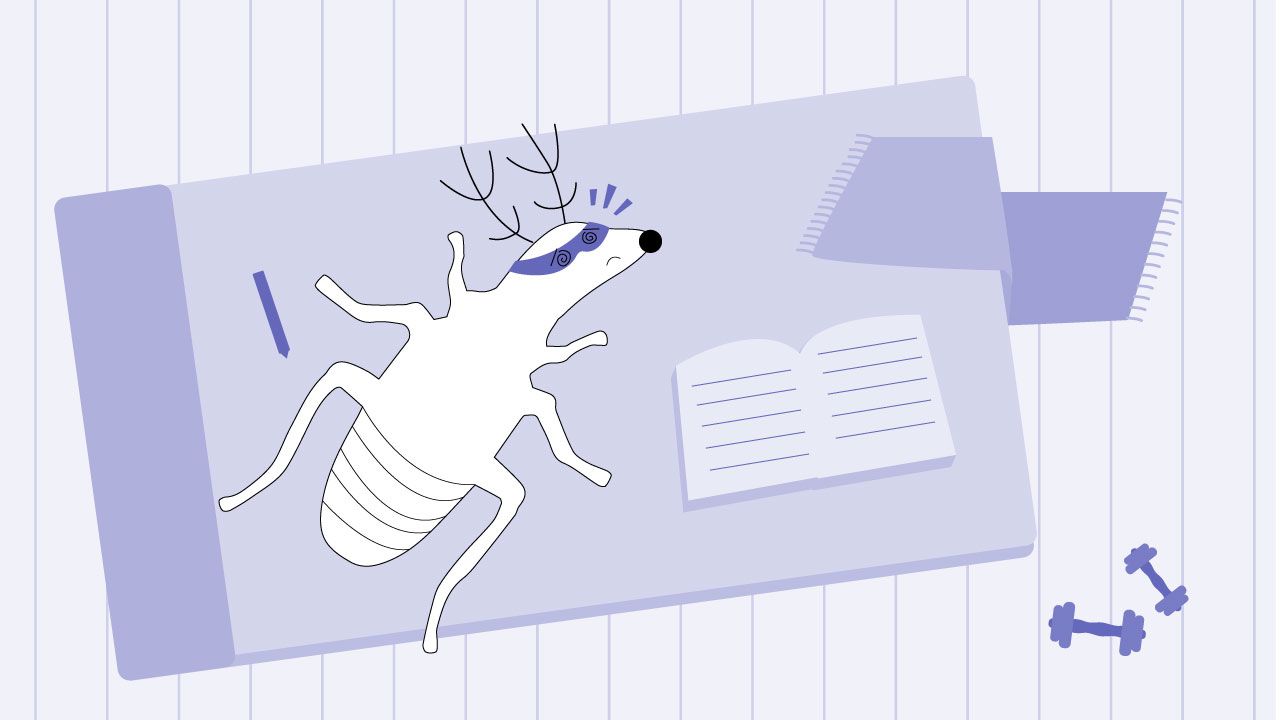 Best books to learn German