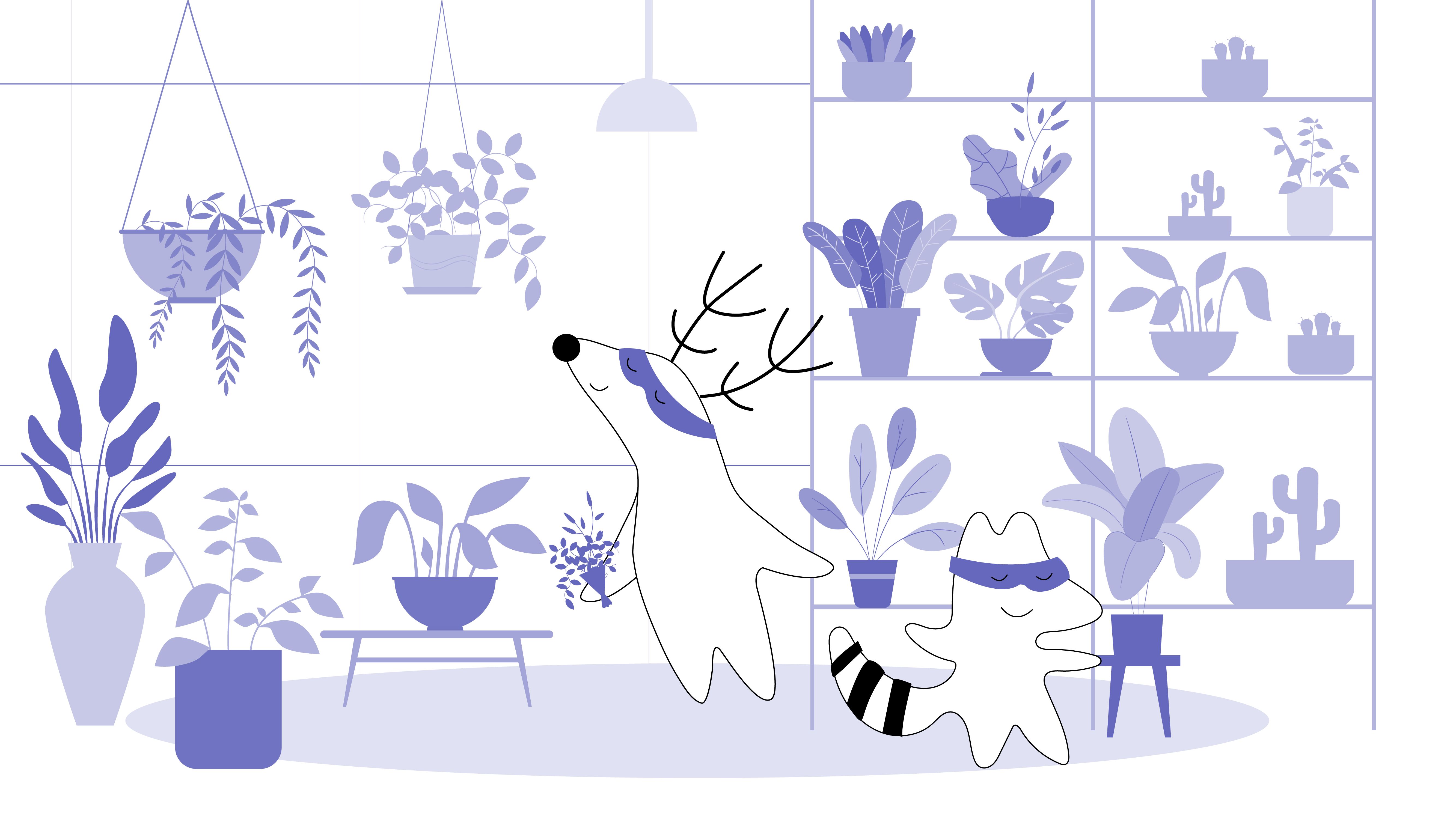 Iggy and Soren having fun at a flower market