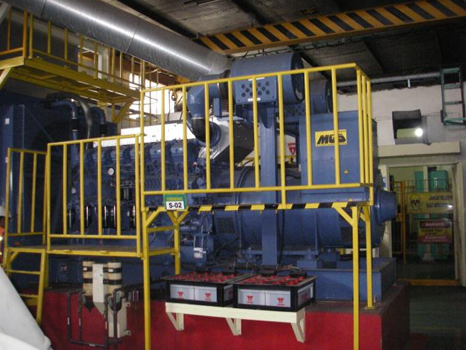 Generator Set Inspection