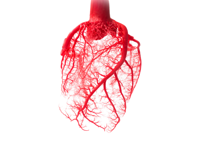 Heart Image