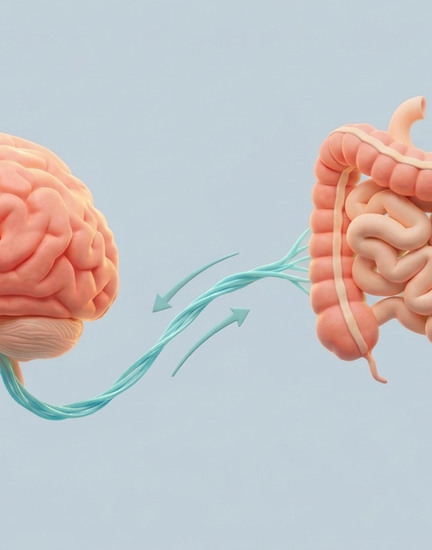 Meet OEA: A Fat-Derived Molecule That Supports a Feeling of Fullness*