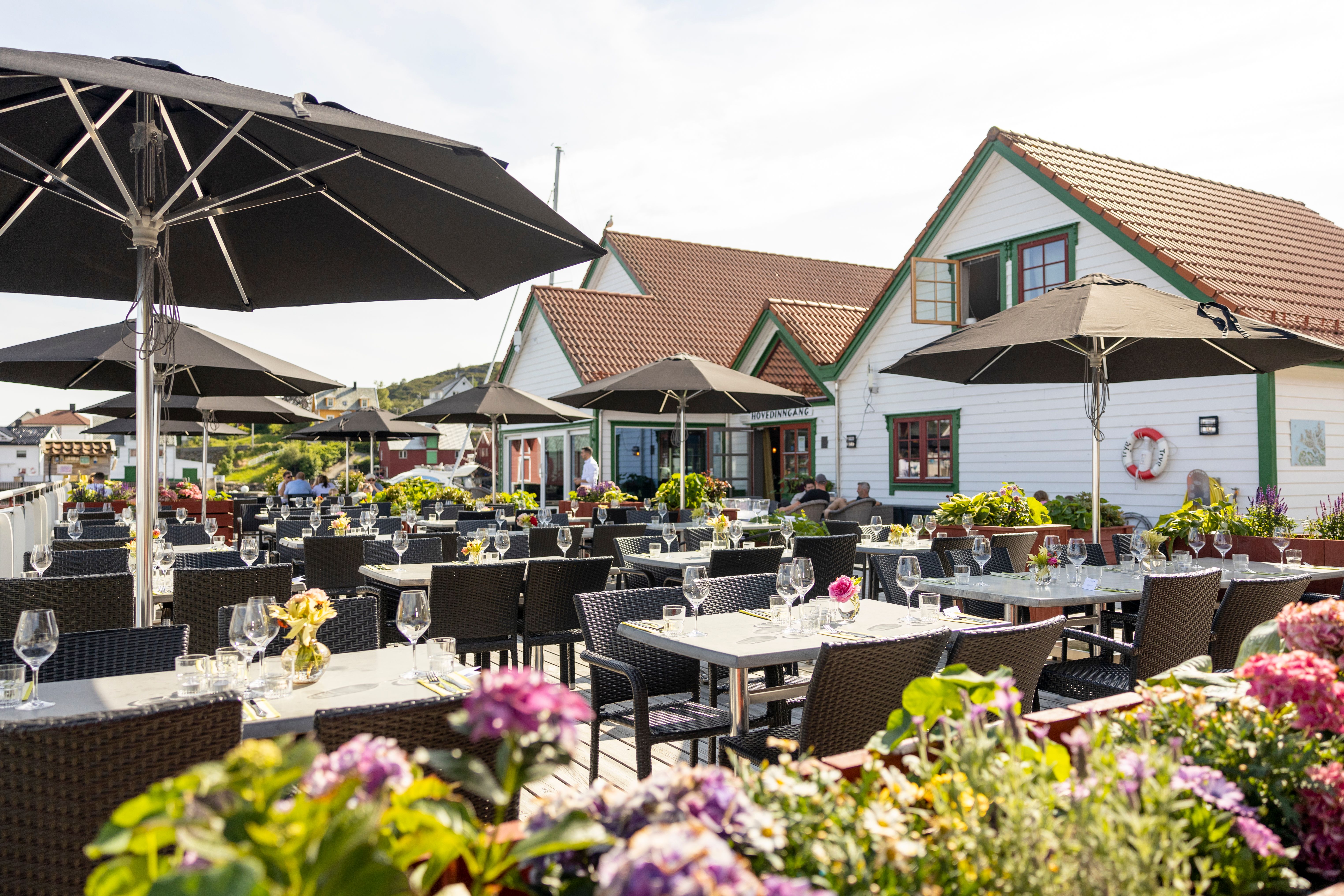 Knutholmen i sommer