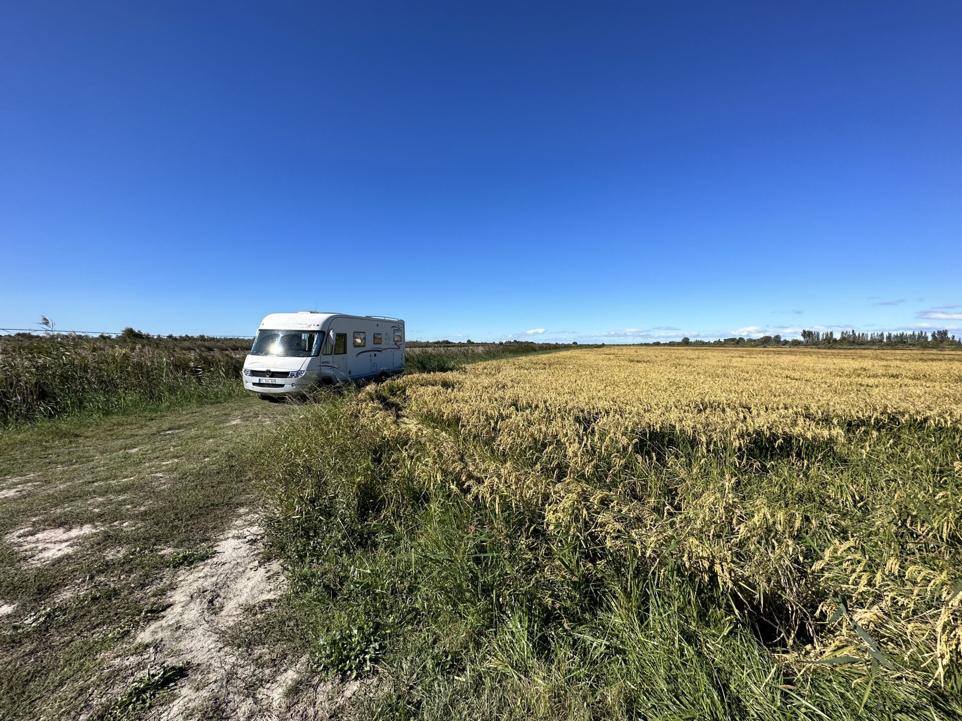 Vue de Le Sambuc en Camargue, village — road trip van France