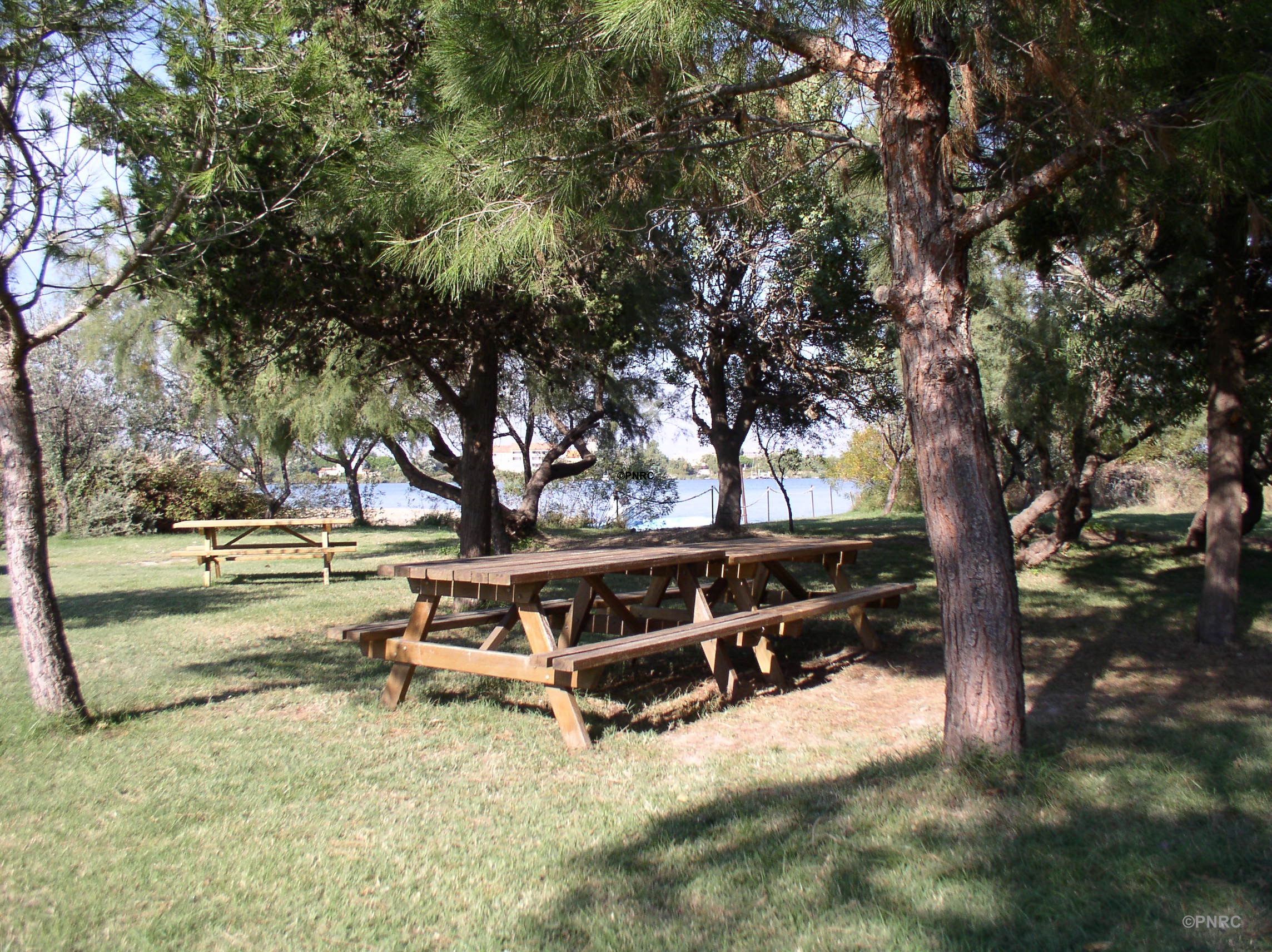 Vue de Domaine de la Palissade en Camargue, nature — road trip van France