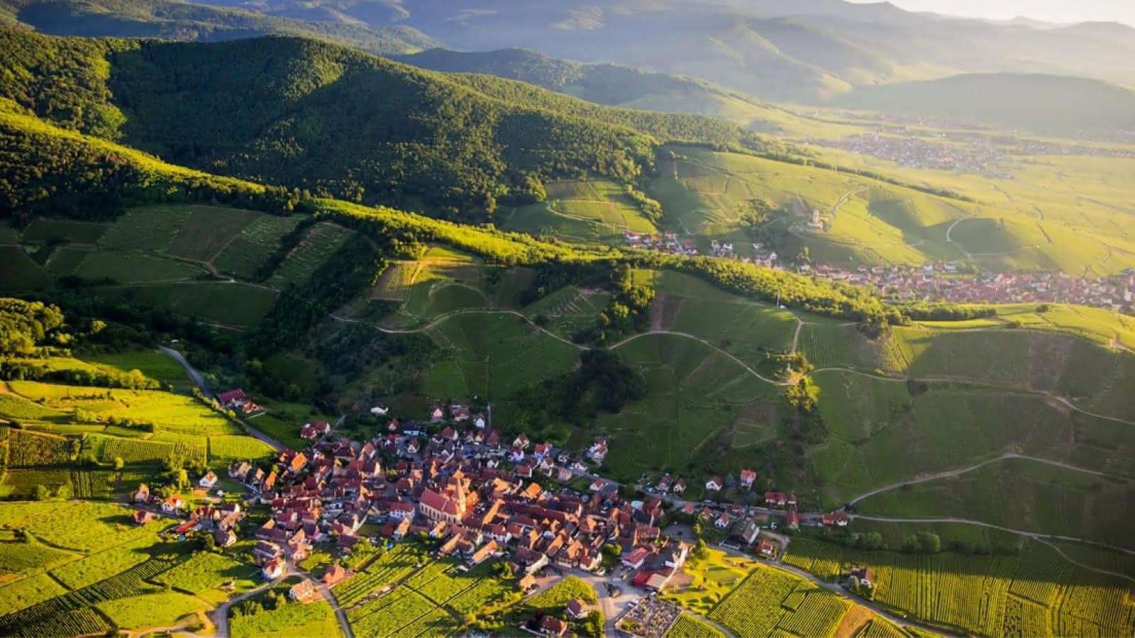 Vue de Route des Vins d'Alsace en Alsace, Route des vins — road trip van France