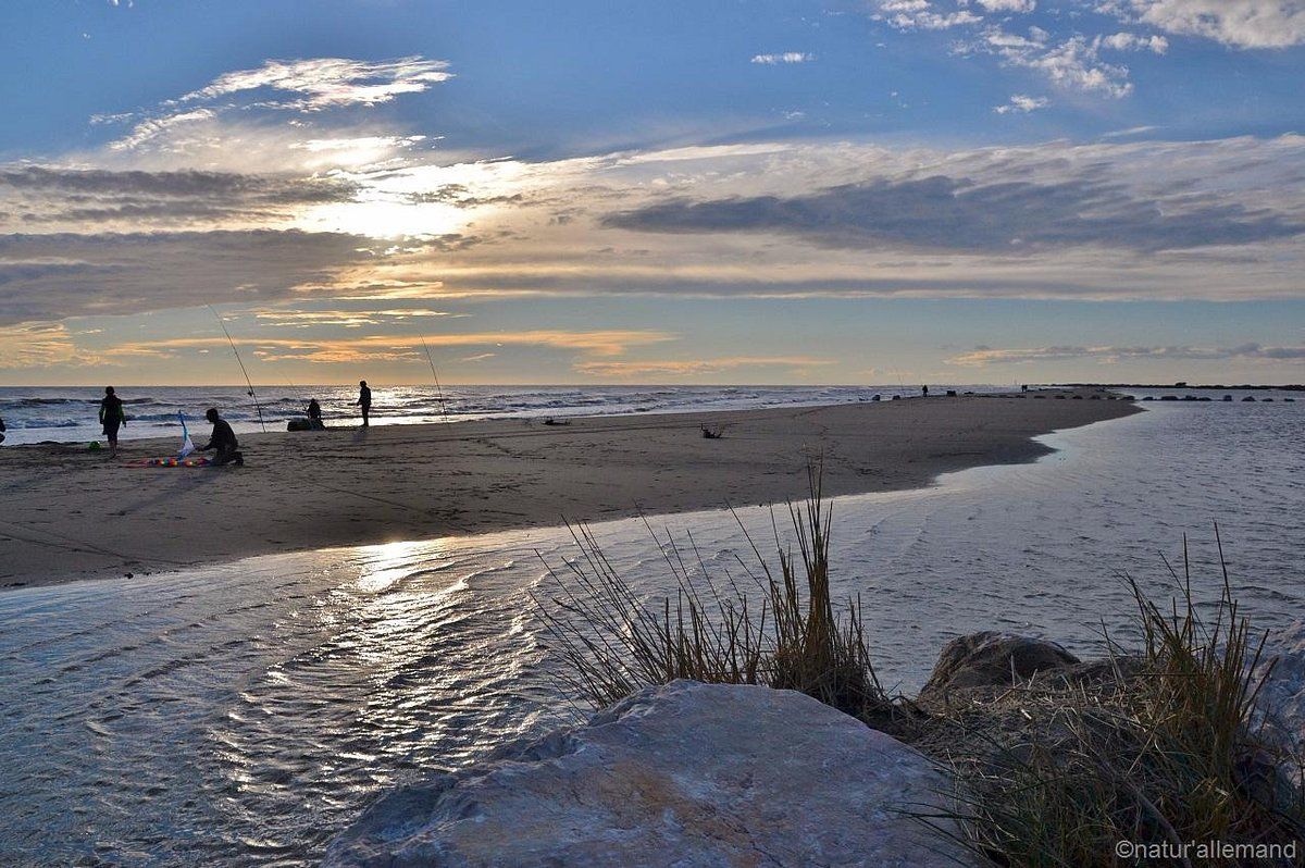 Vue de Plage de Piémanson en Camargue, plage — road trip van France