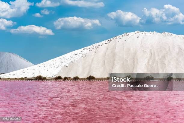 Vue de Salins du Midi en Camargue, nature — road trip van France