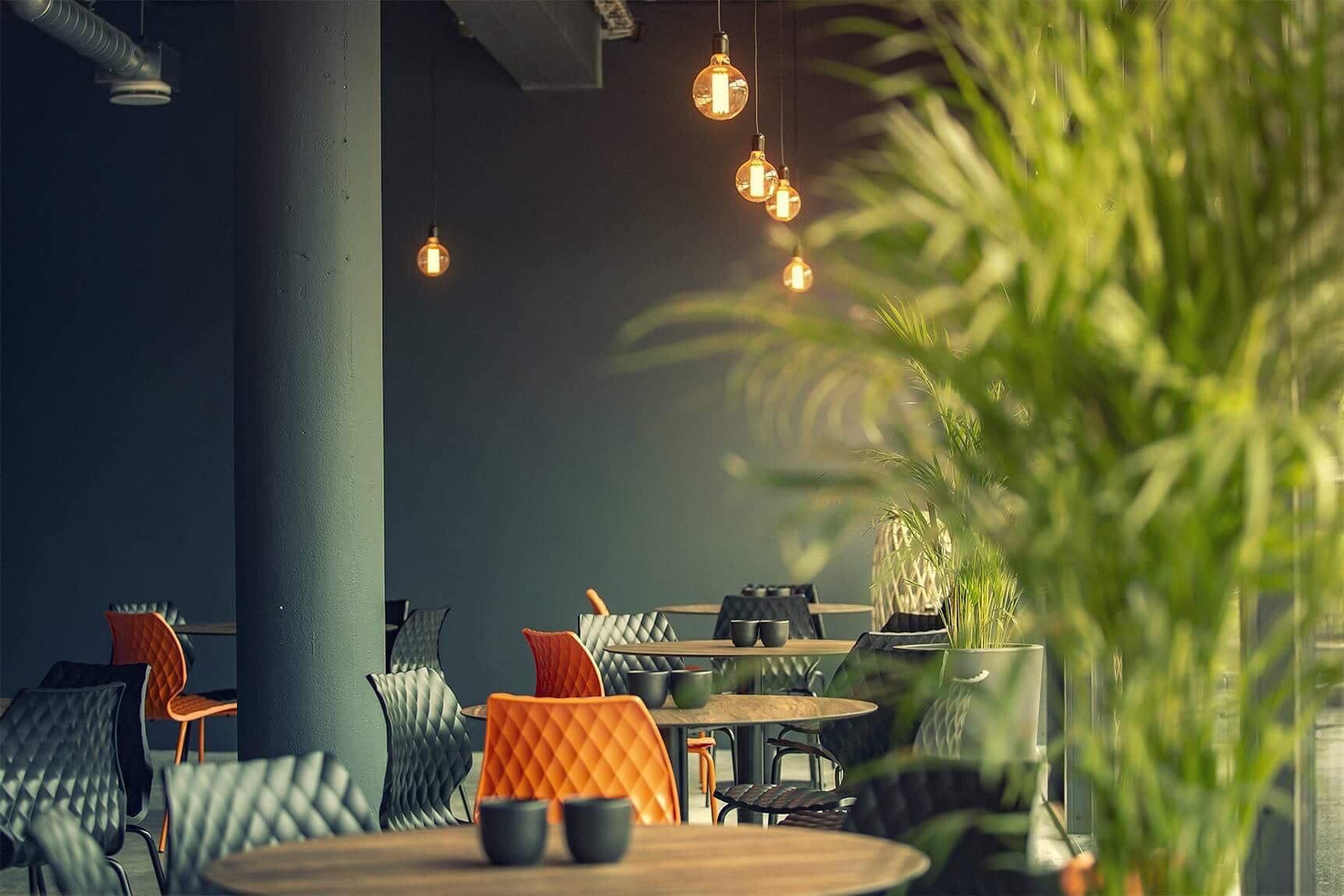 Modern cafe interior with dark walls, exposed Edison bulbs, orange and black chairs, and a blurred green plant in the foreground.