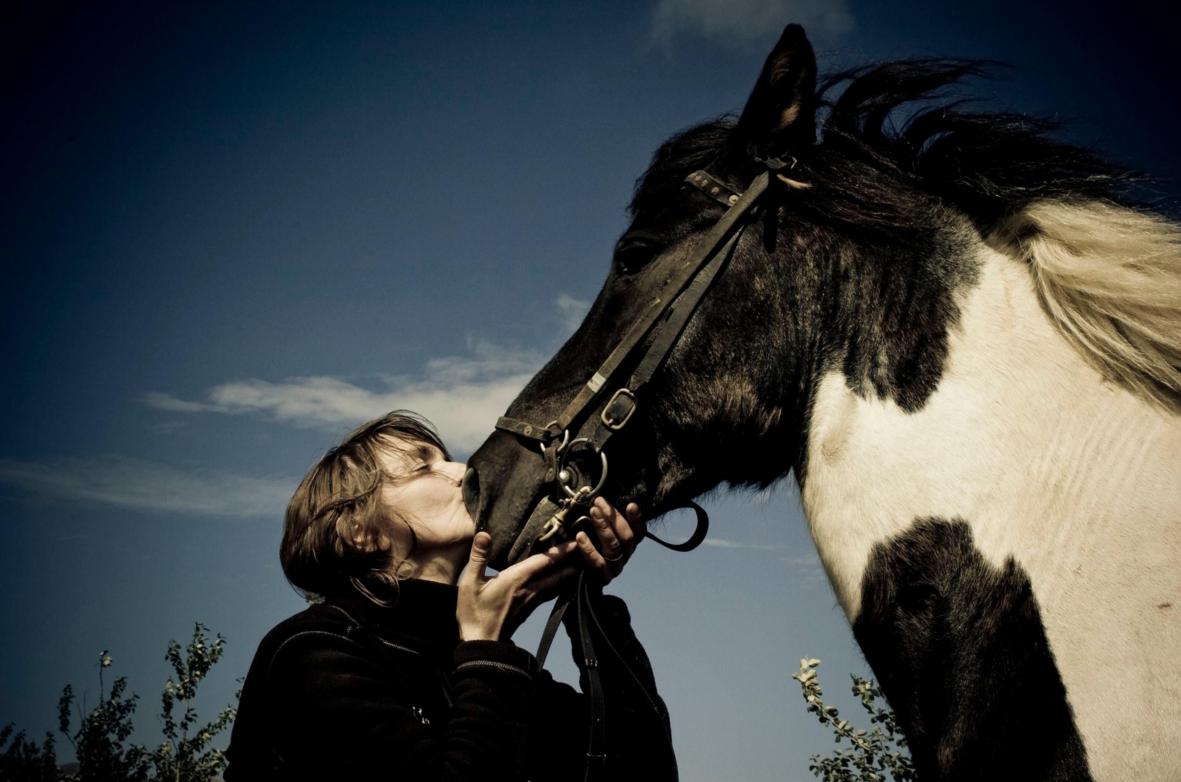 A woman kisses the muzzle of a black and white horse under a blue sky.