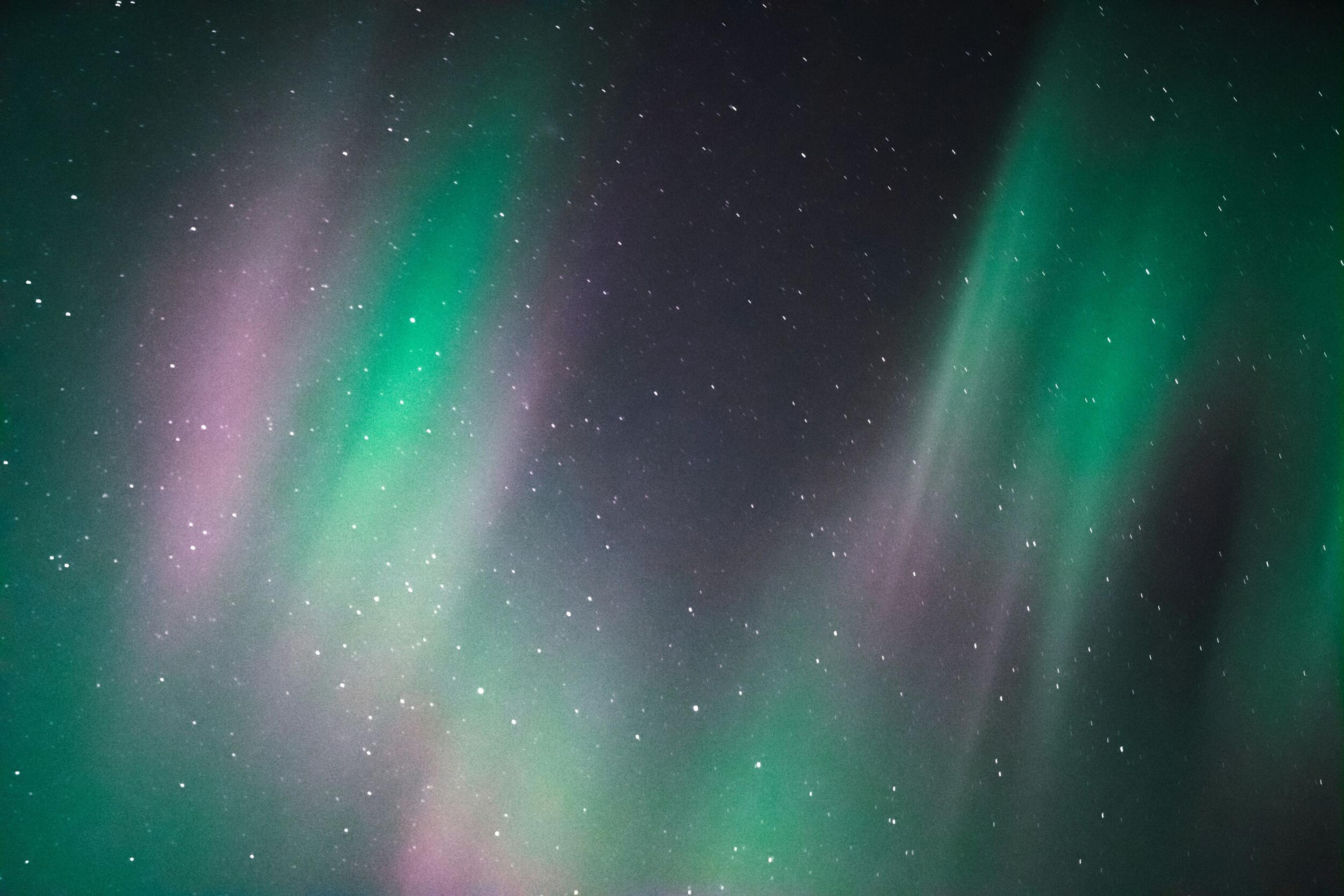 A soft mix of green and pink aurora borealis lights shimmering in the sky.