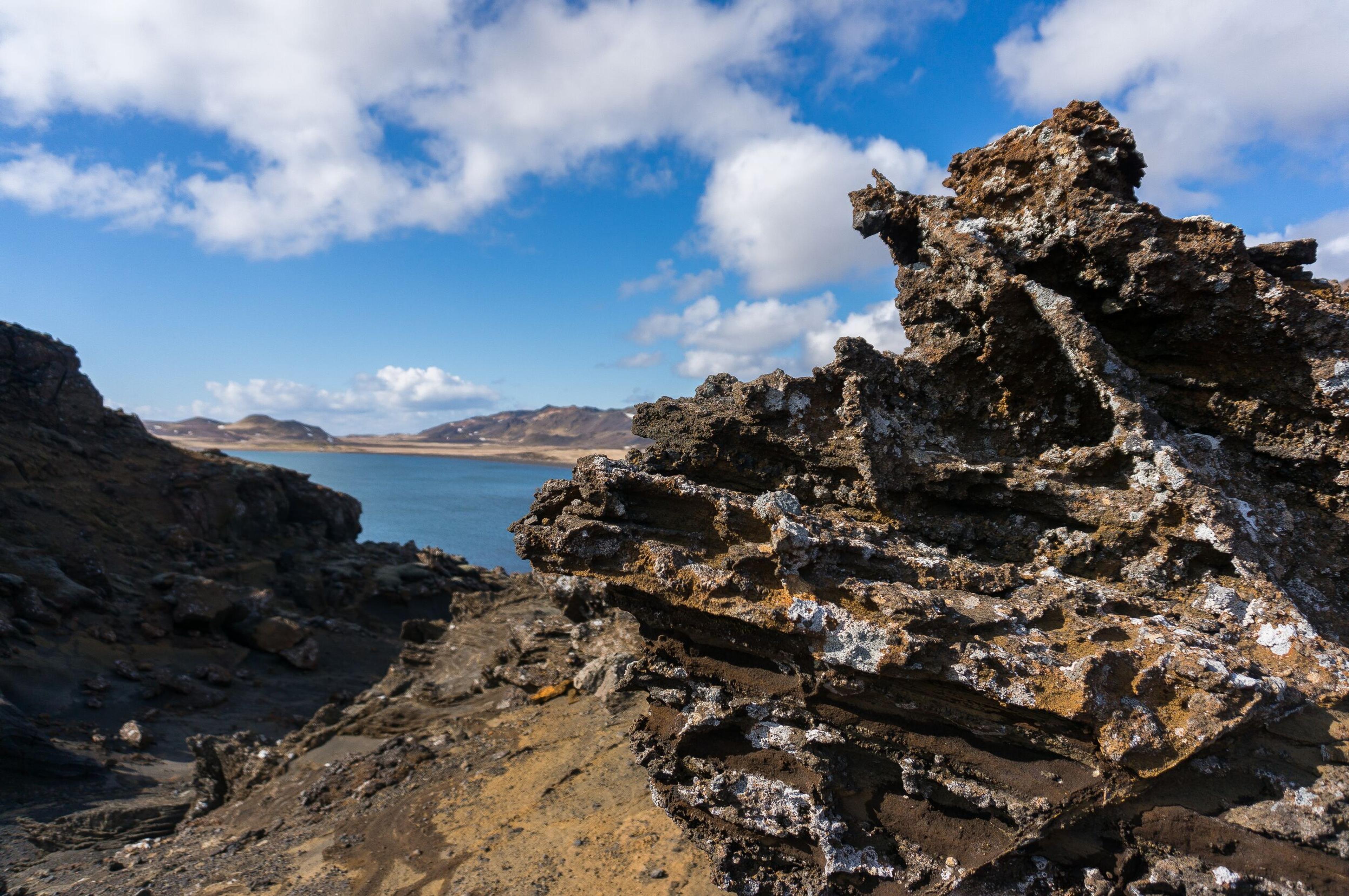 Close-up of rugged rock formations along a coastal shoreline with blue sky and water in the background, highlighting natural textures.