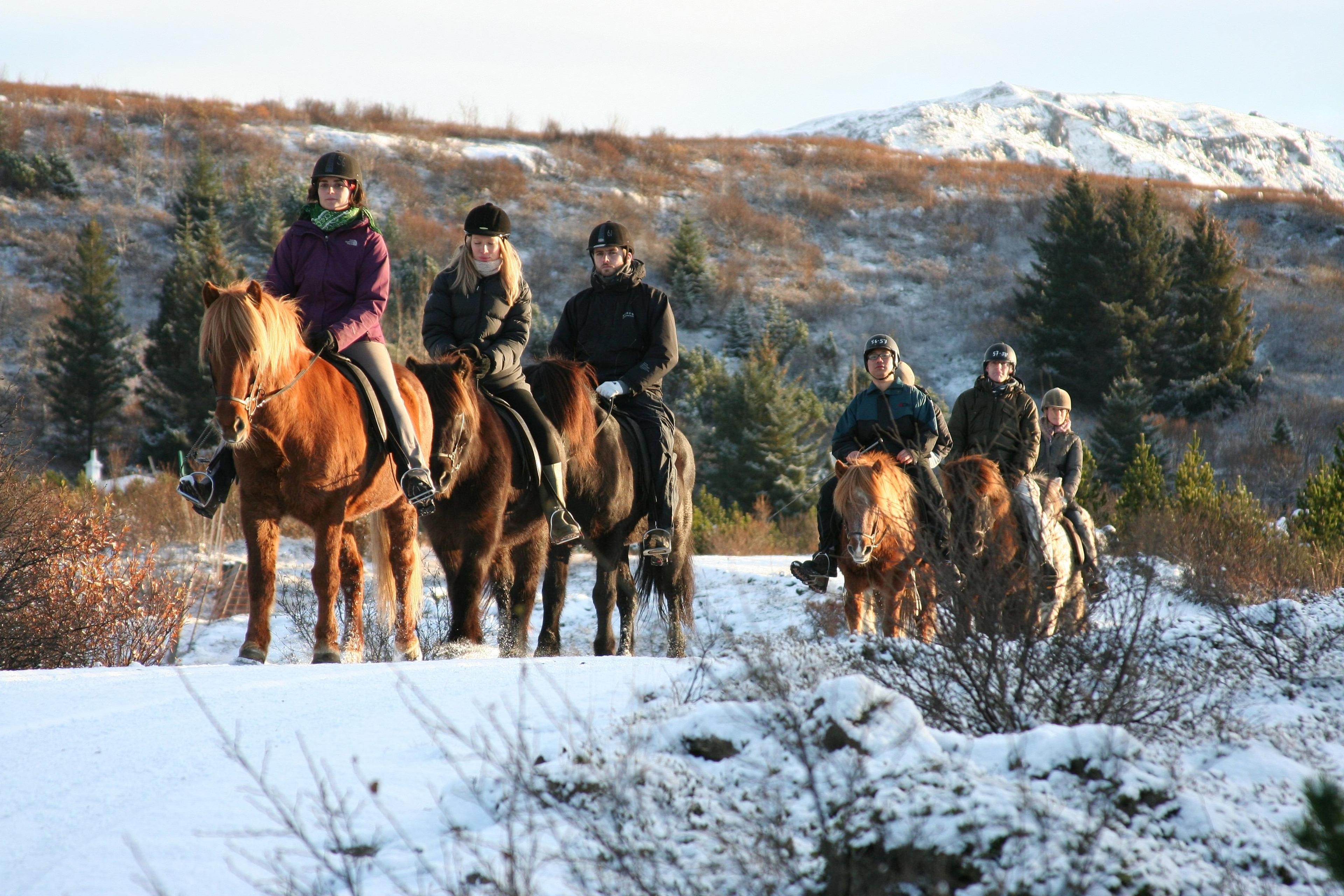 Six people ride horses on a snow-covered trail with mountains and trees in the background.