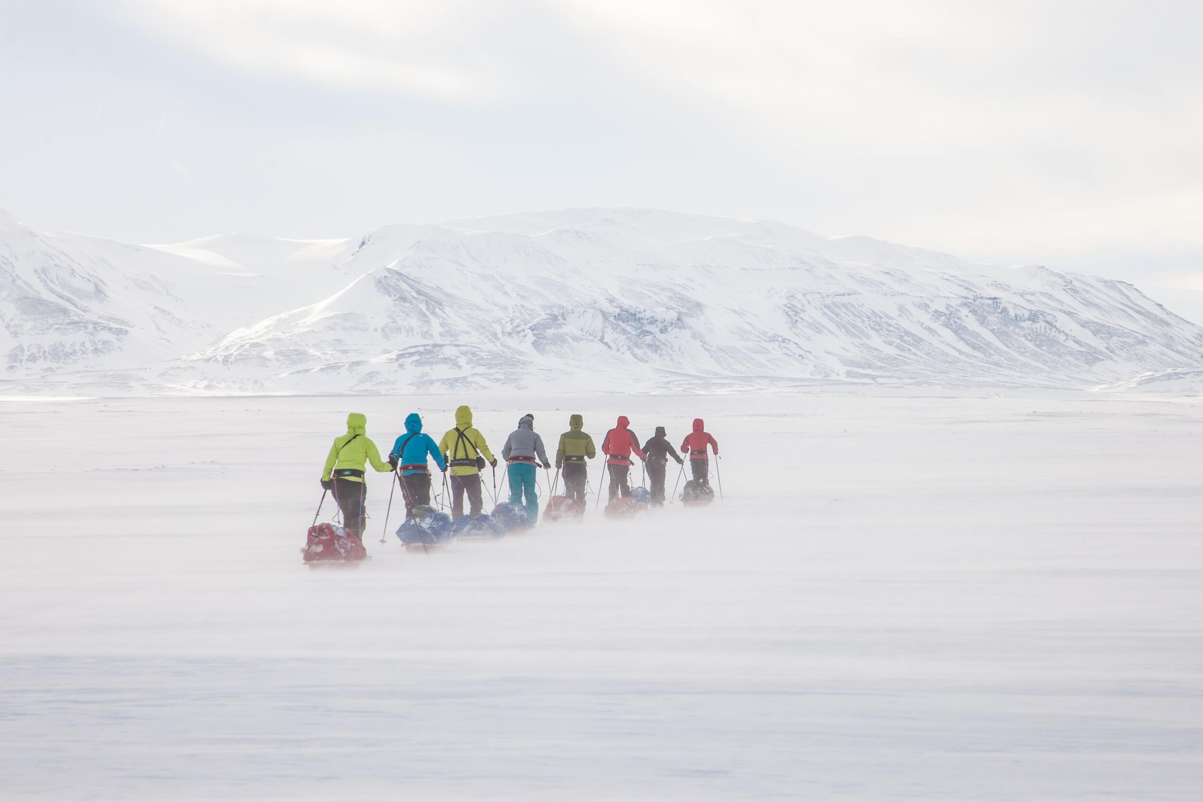 Cross-country skiers towing their equipment across a snowy field on a windy but sunny day.