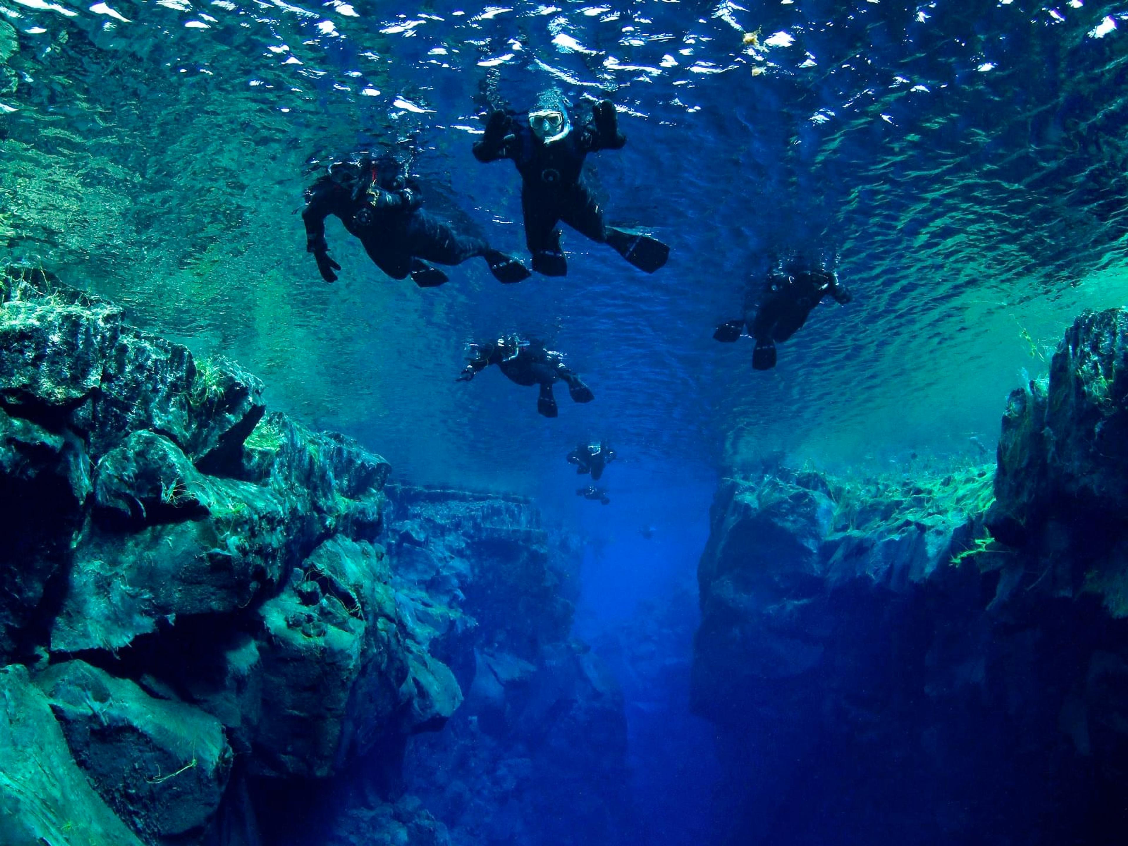 Divers in black wetsuits explore a clear blue-green underwater canyon.