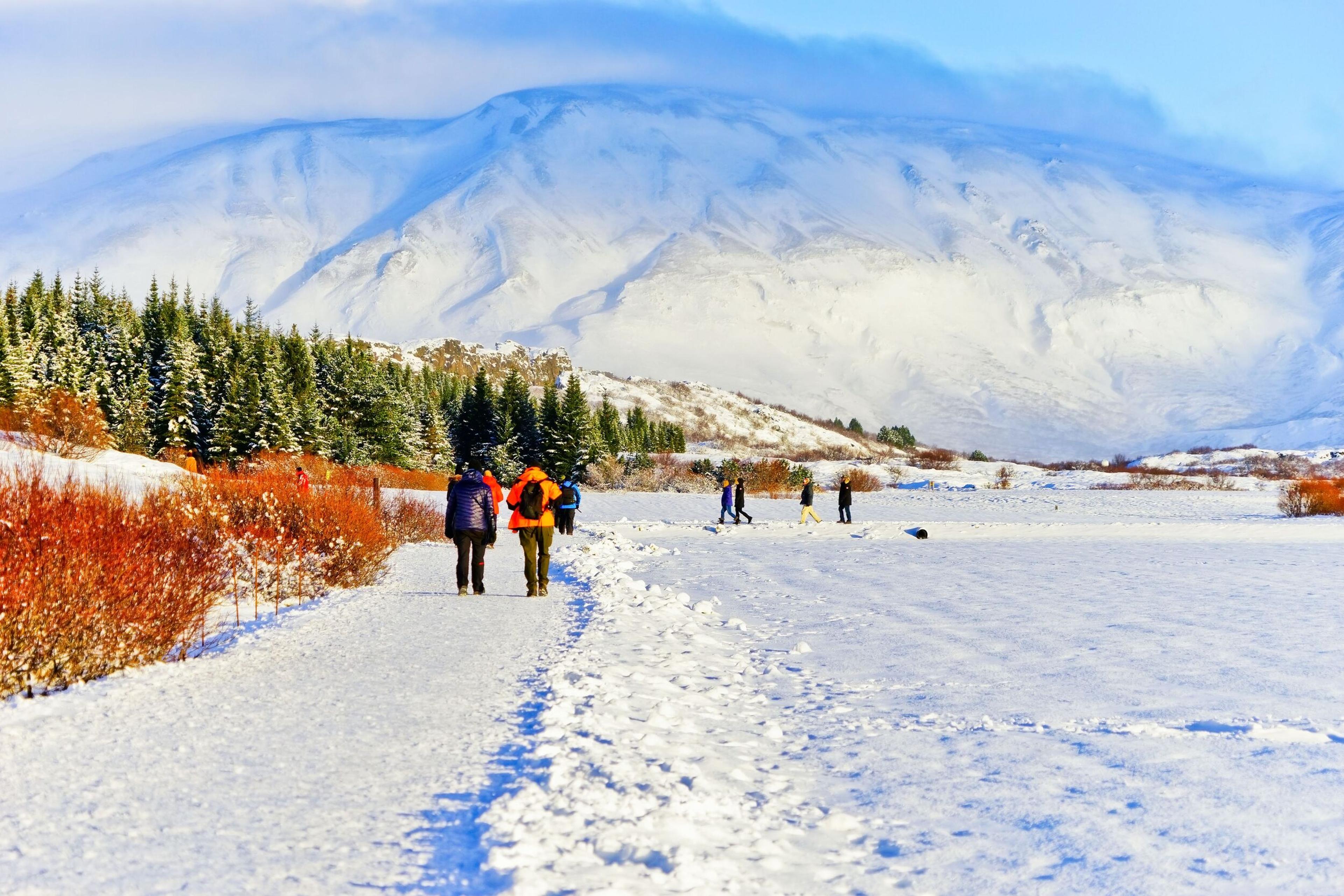 Hikers in colorful gear trek along a snowy path flanked by autumn-colored shrubs, with a backdrop of majestic snow-covered mountains under a bright blue sky, a vivid depiction of winter adventures.