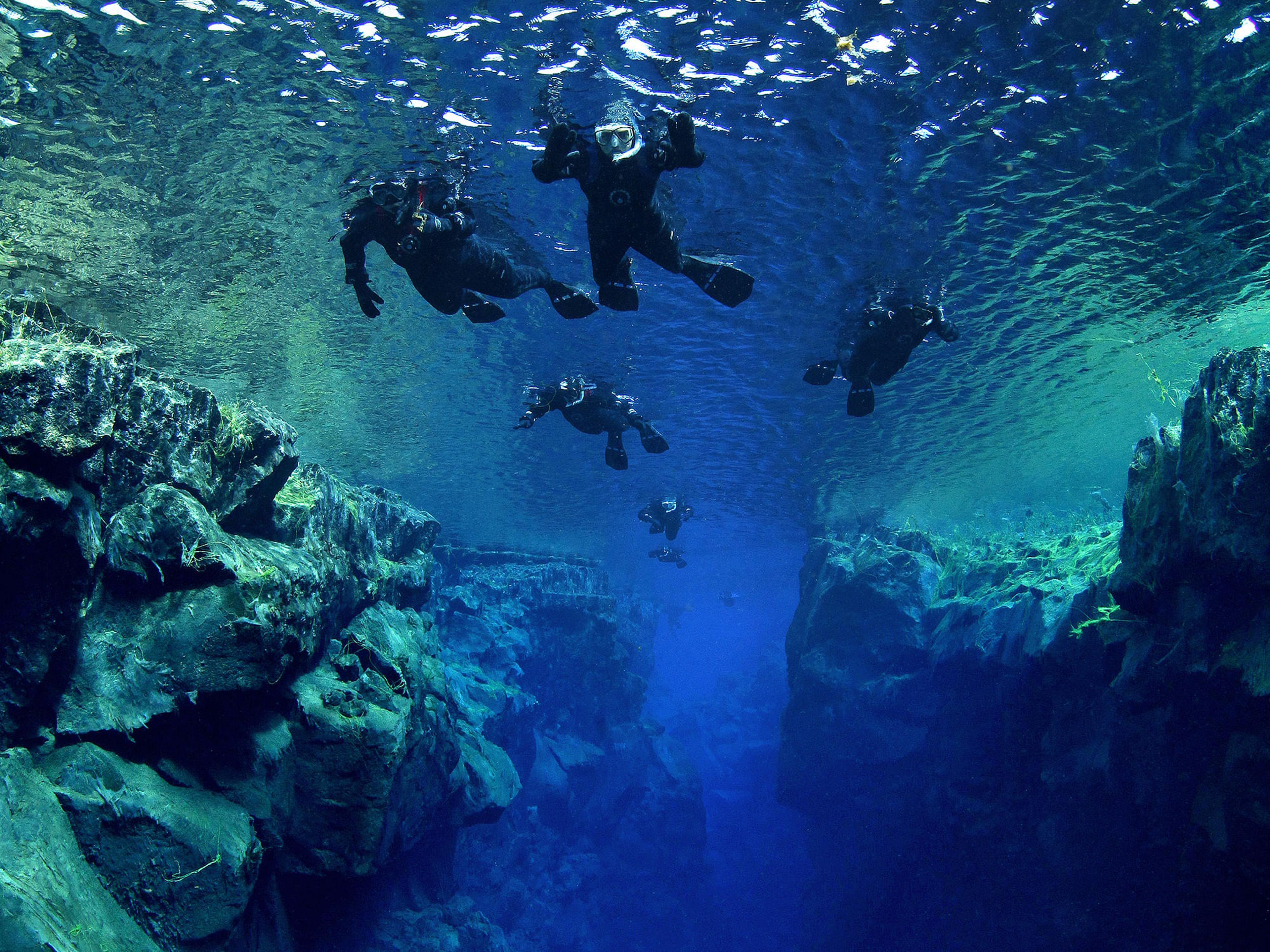 Snorkelers in drysuits swim in the clear blue-green water of an underwater canyon.