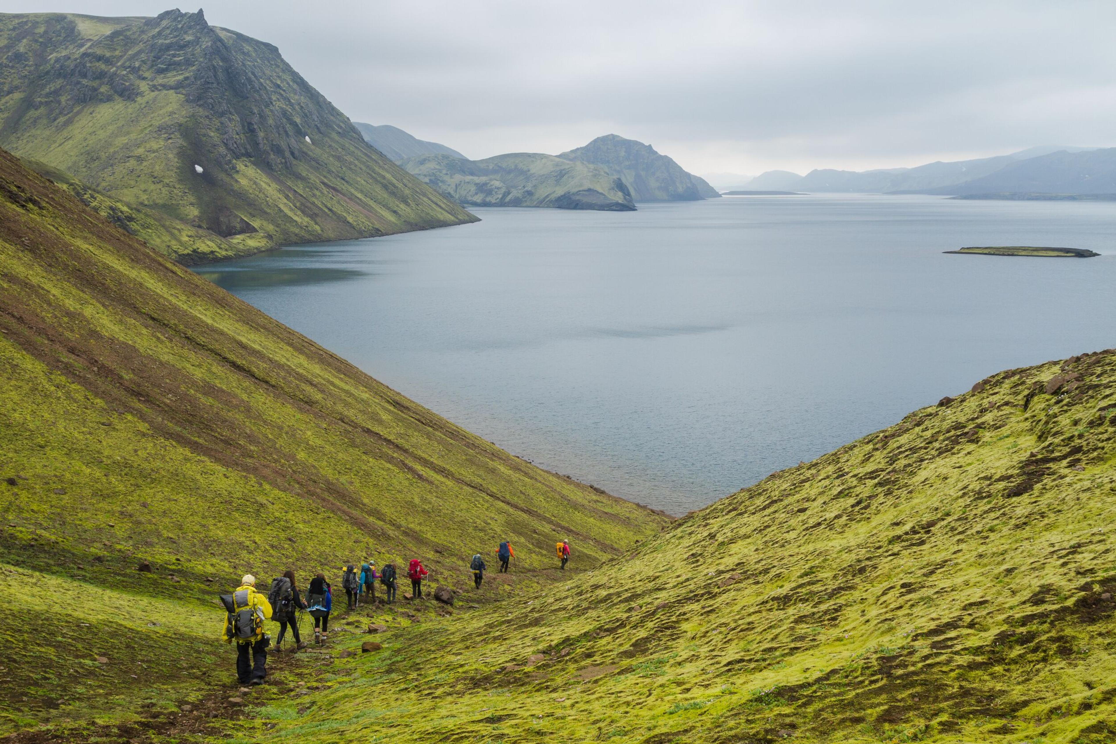 Group hiking Towards Lake Langisjór. Amidst Greenery, a Breathtakingly Beautiful Lakeside View