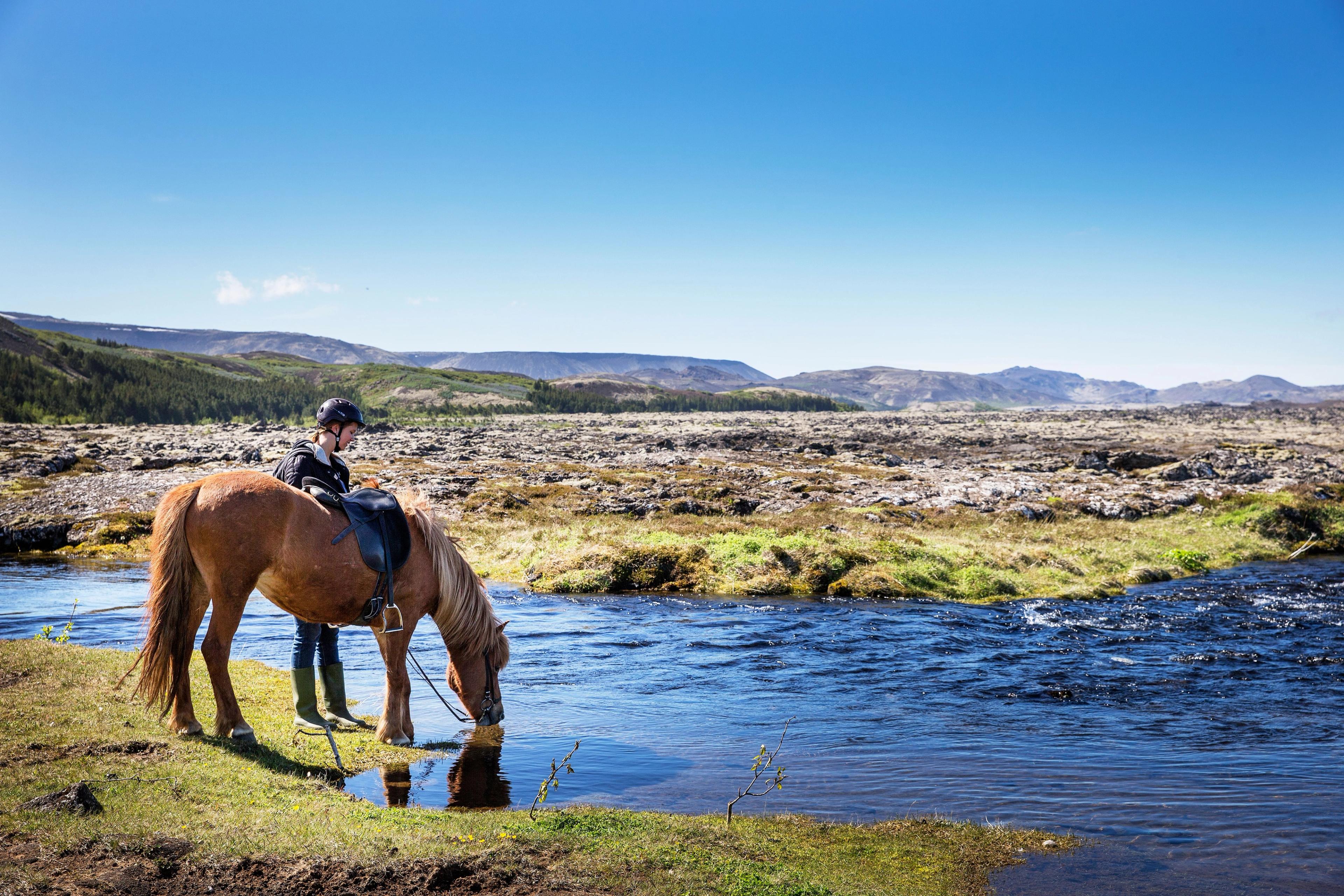 A rider stands by a brown horse drinking from a river in a rugged landscape under a blue sky.
