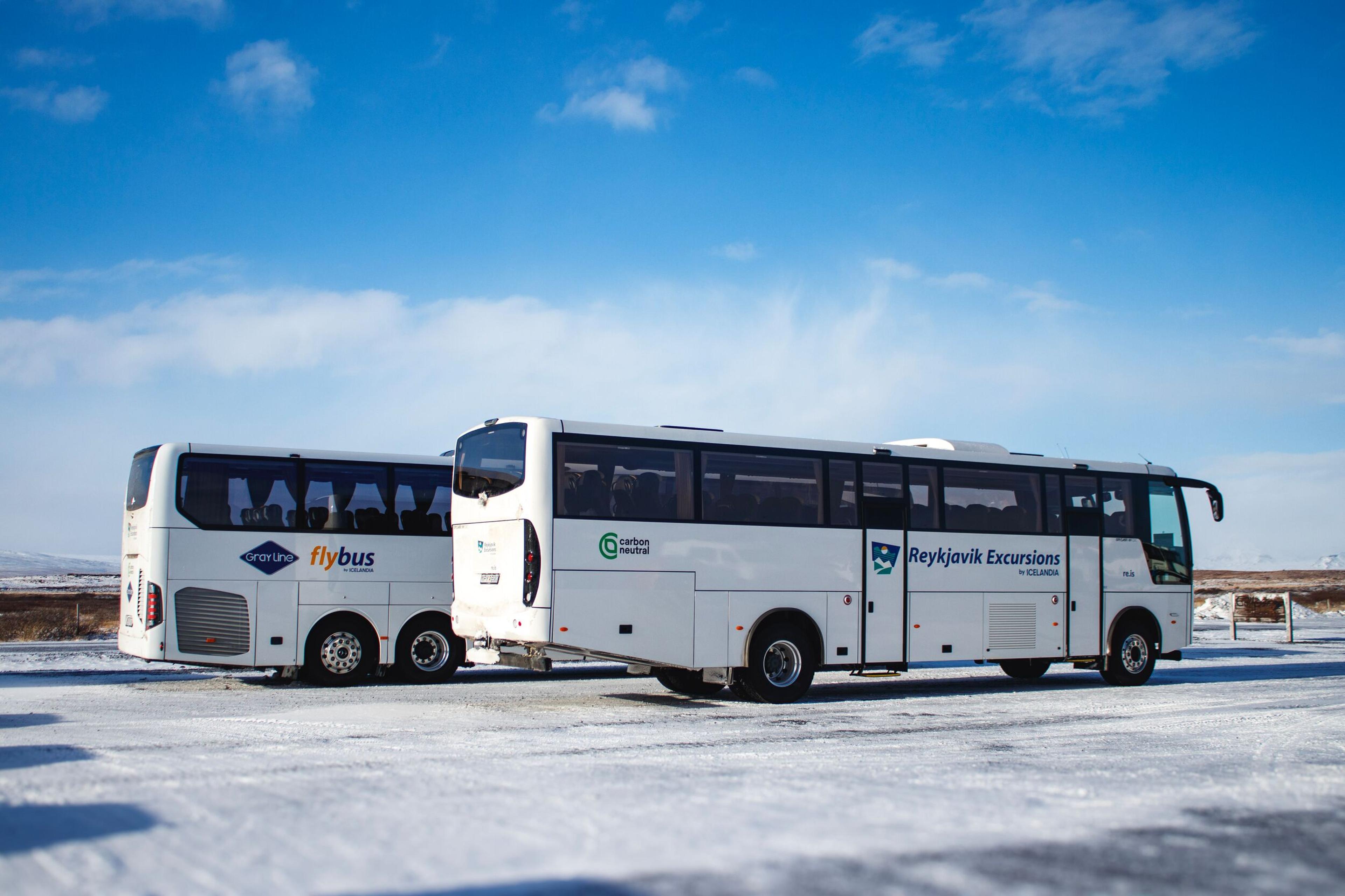 Two white tour buses, one labeled "flybus" and the other "Reykjavik Excursions," parked on a snowy surface under a blue sky.