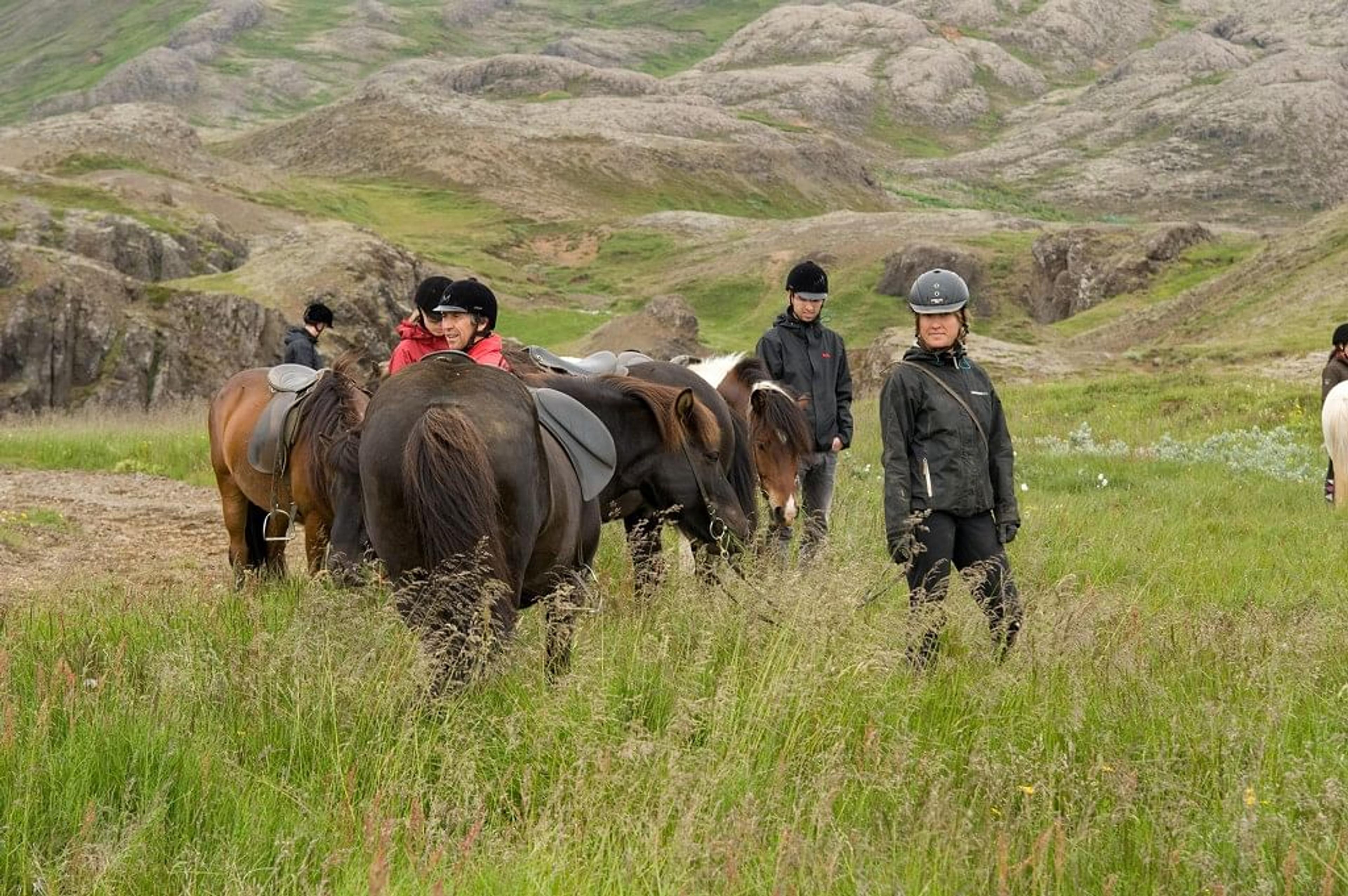 People on a horseback riding tour in a rugged, grassy landscape.