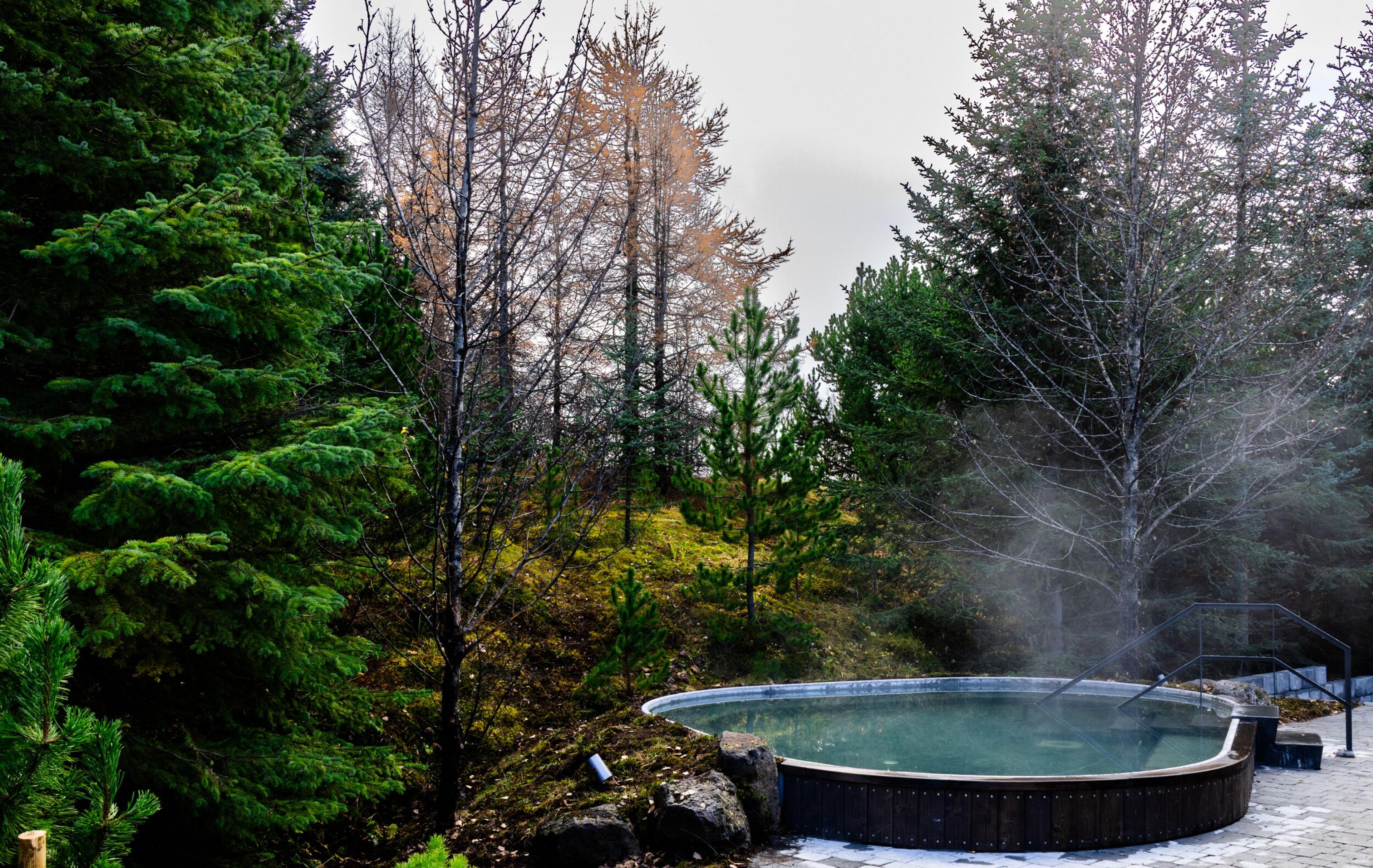 Steaming outdoor hot tub surrounded by evergreen and bare trees.