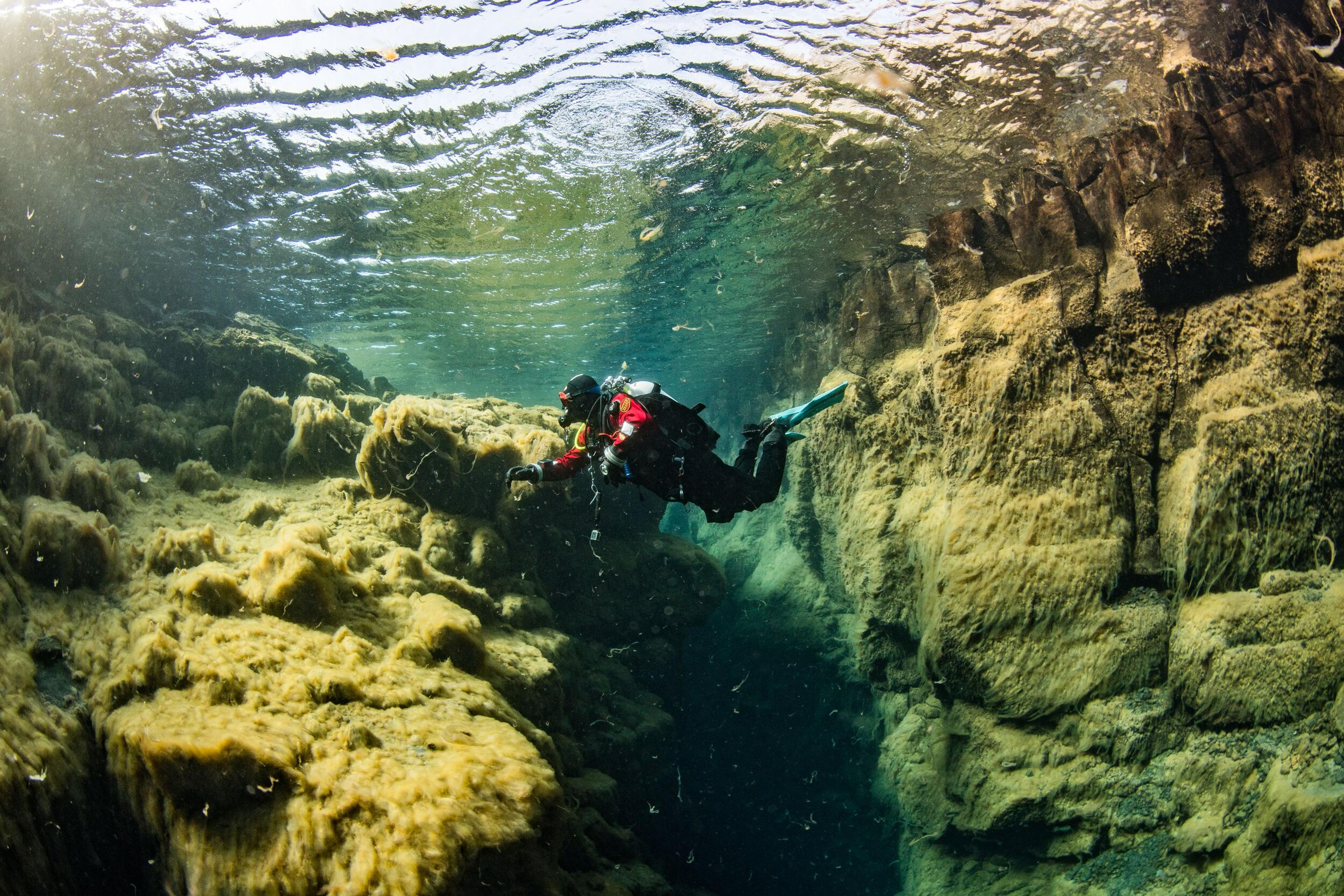 A diver explores an algae-covered underwater rocky crevice, illuminated by sunlight from the surface.