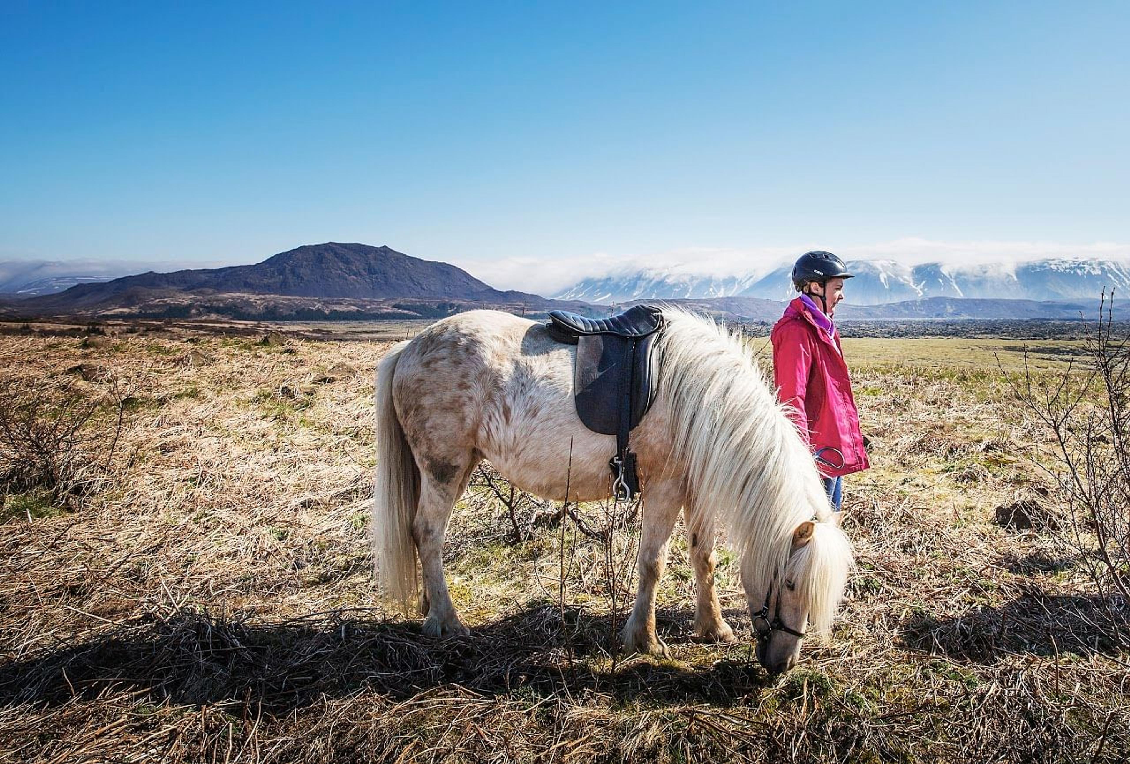 A person in a pink jacket and helmet stands beside a light-colored horse grazing in a dry field with mountains under a clear blue sky.