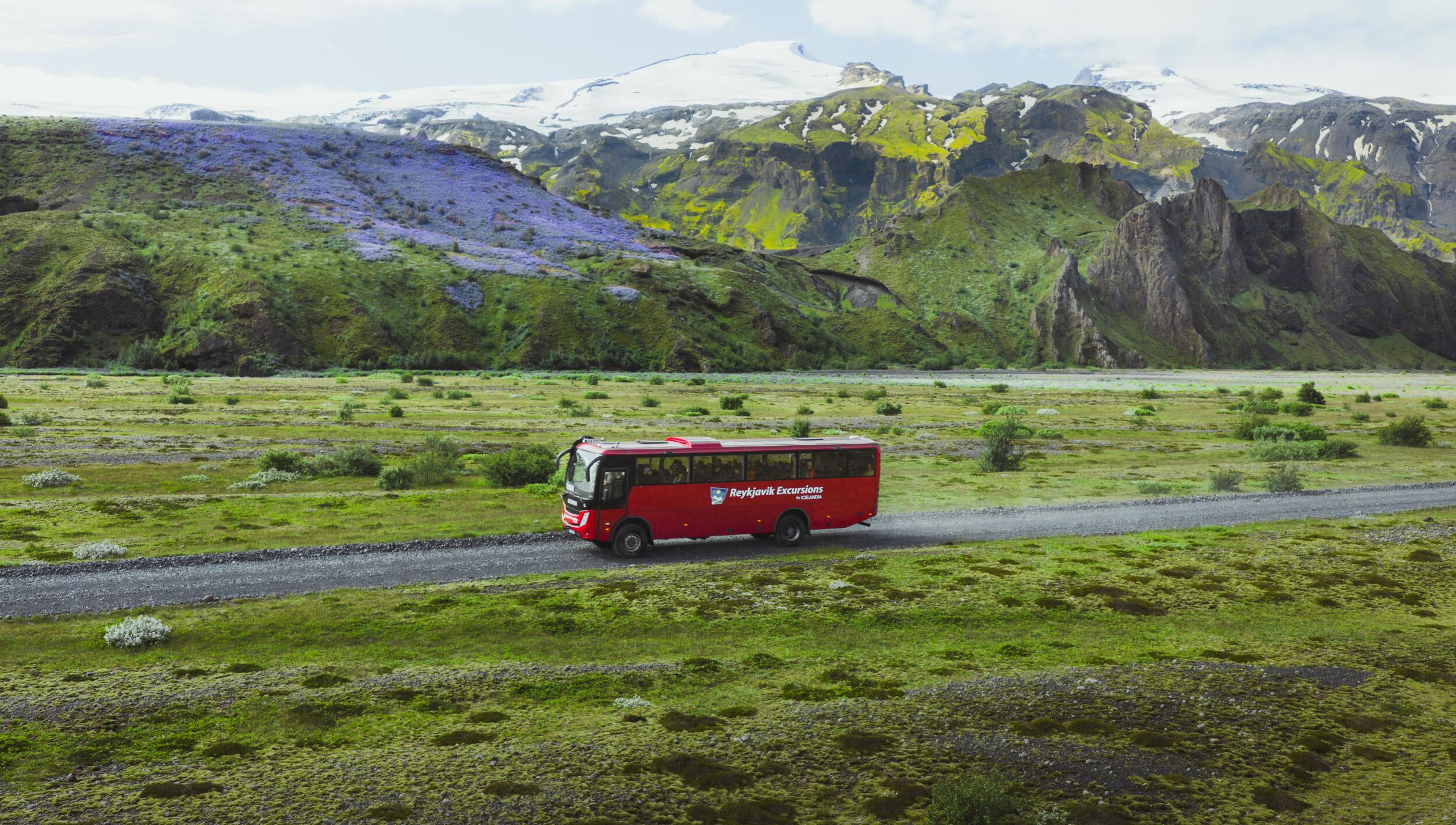 a red bus is driving down a road in the middle of a field .