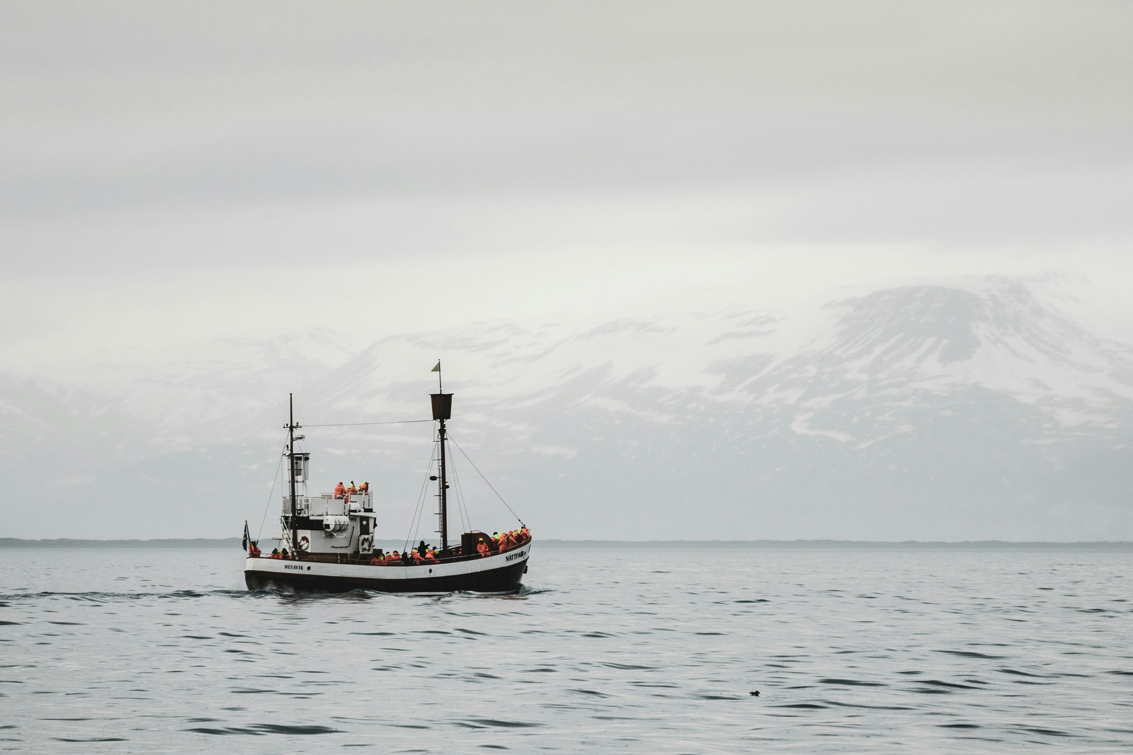 Boat filled with people dressed in orange suits, whale watching from Reykjavík, with snowy mountains in the background.