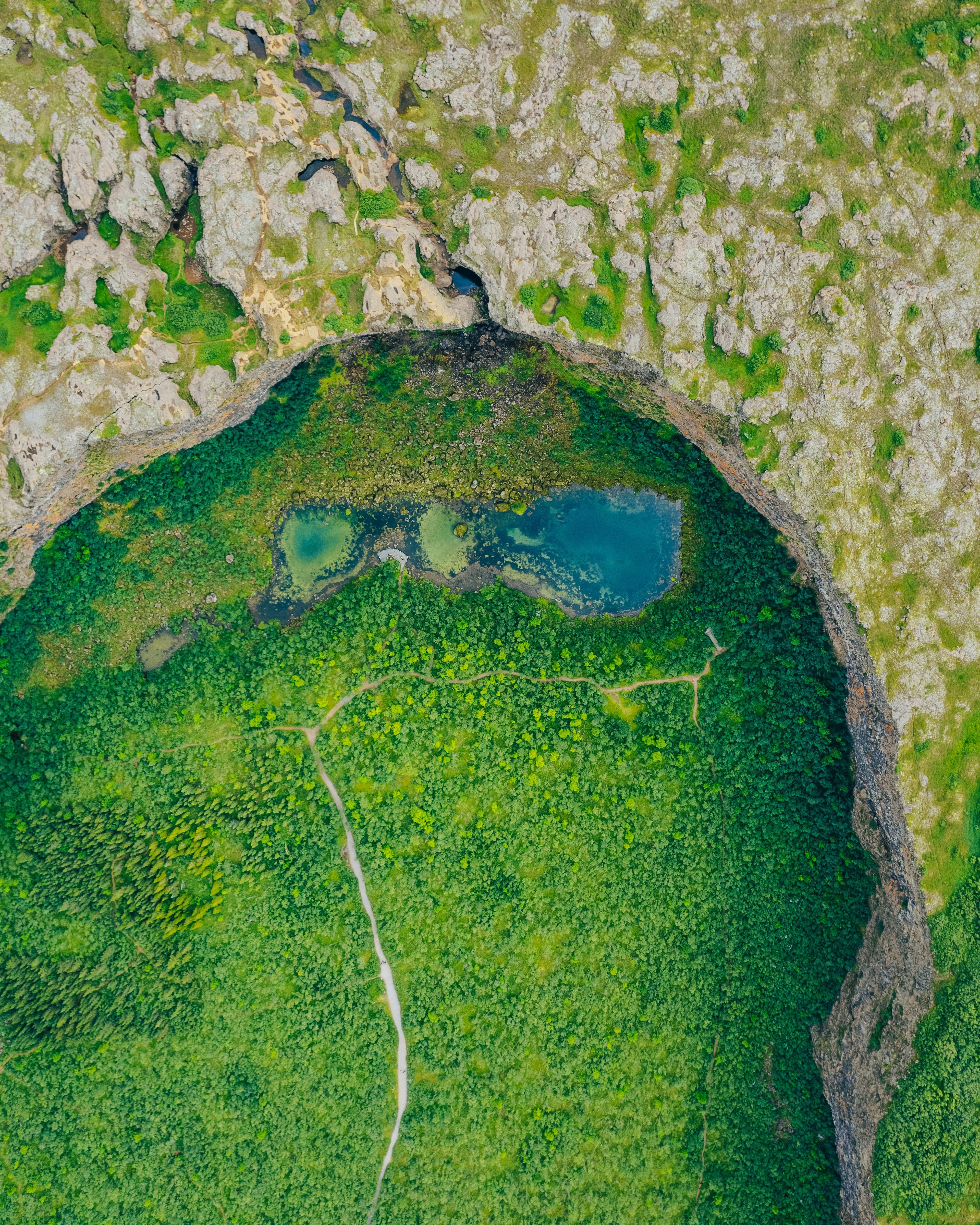 Overhead shot of Ásbyrgi Canyon's heart-shaped end, featuring twin ponds surrounded by vibrant green vegetation and rugged cliffs.