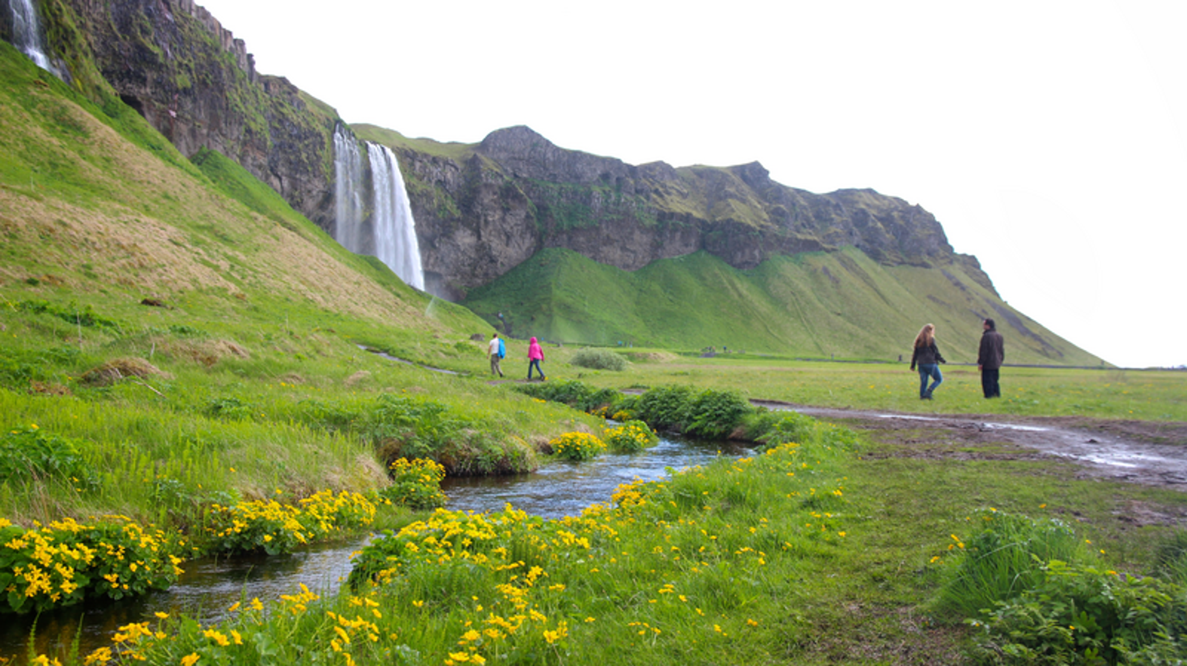 Tourists walking towards Seljalandsfoss in the south coast.