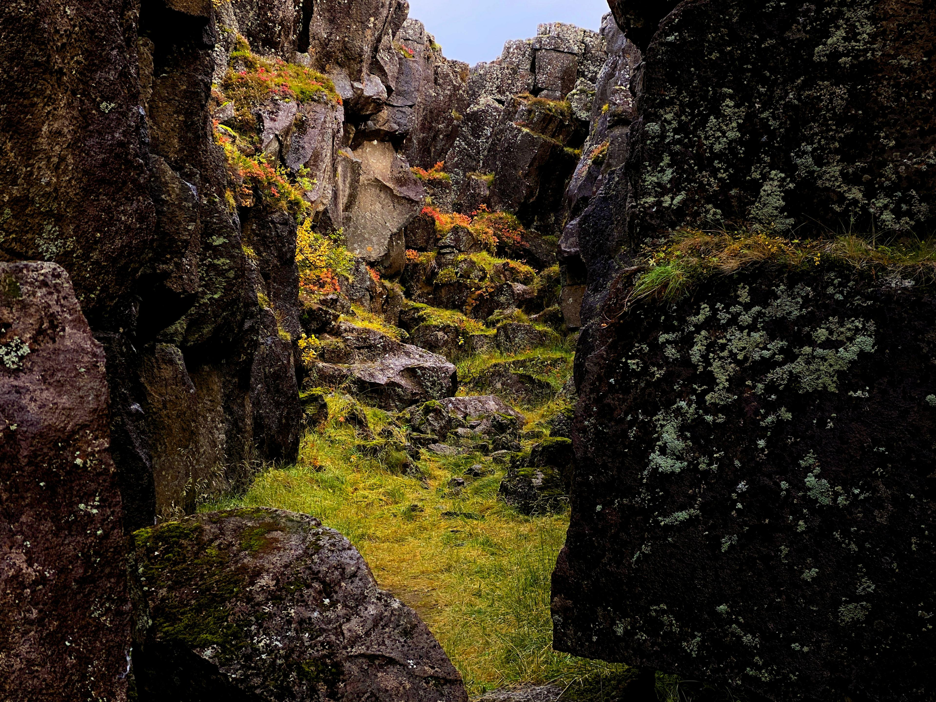 A narrow, moss-covered path winds through tall, rugged rock formations, surrounded by lush greenery and small plants.