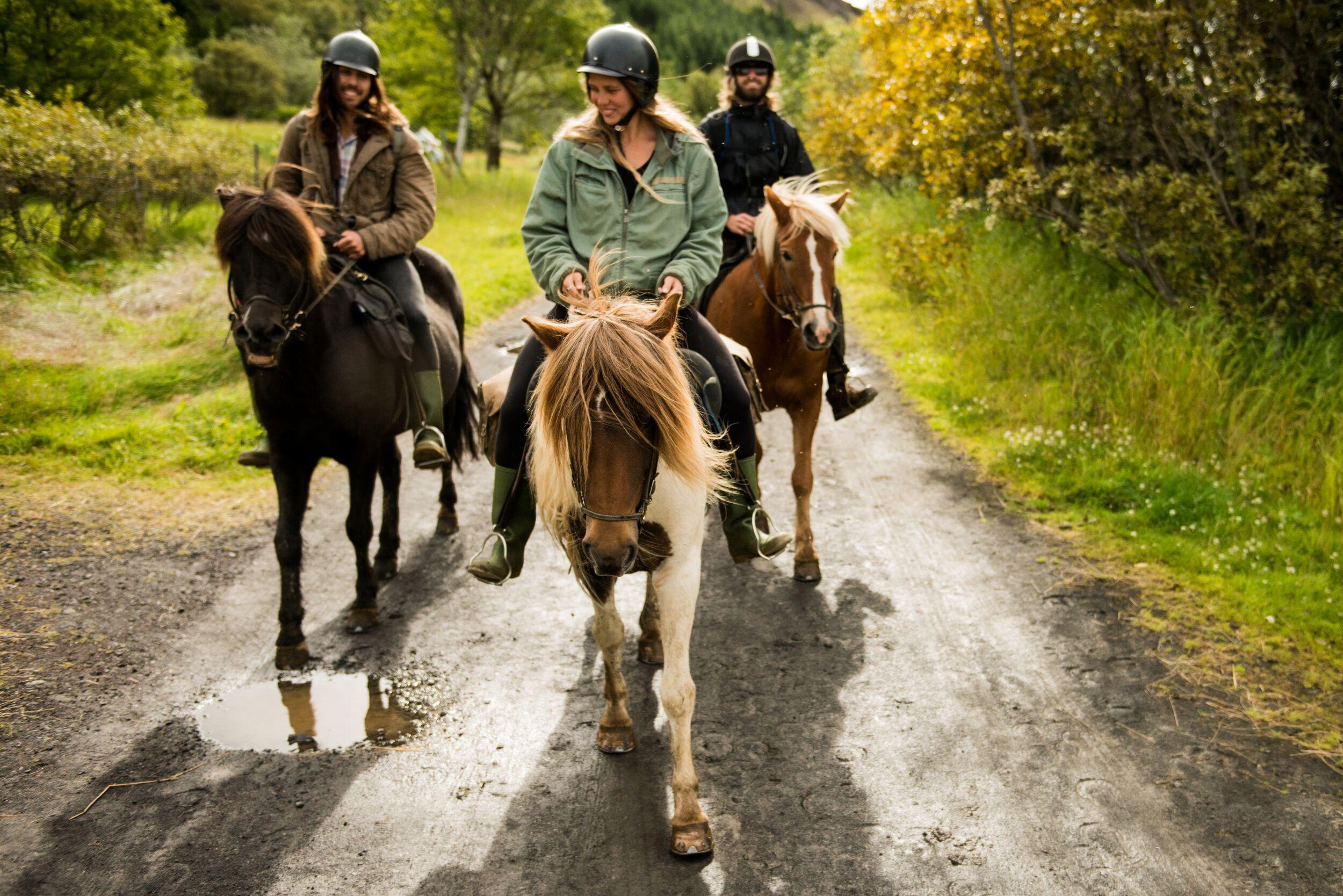 a group of people are riding horses down a dirt road .