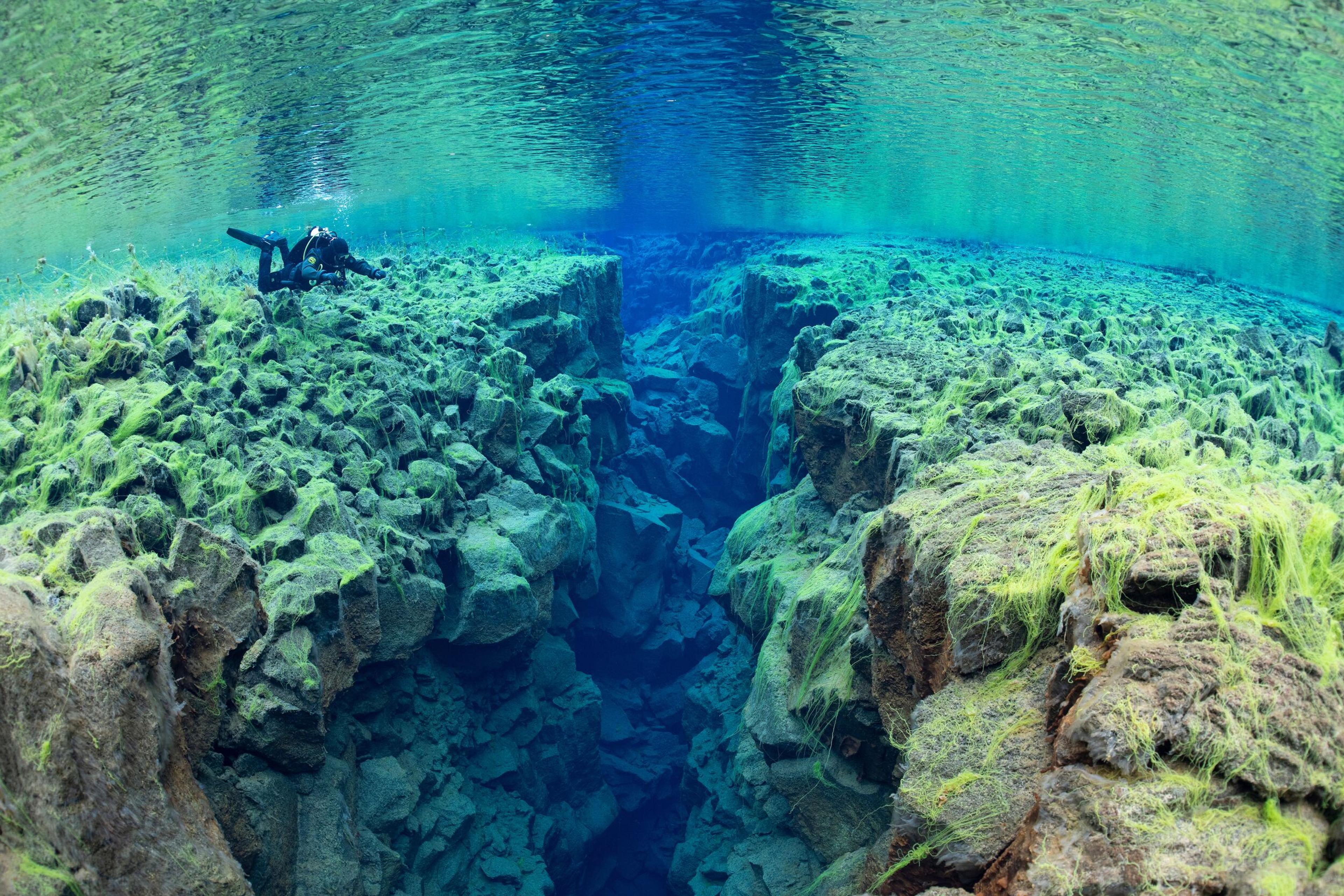 A diver in clear blue-green water explores a deep, moss-covered underwater fissure.