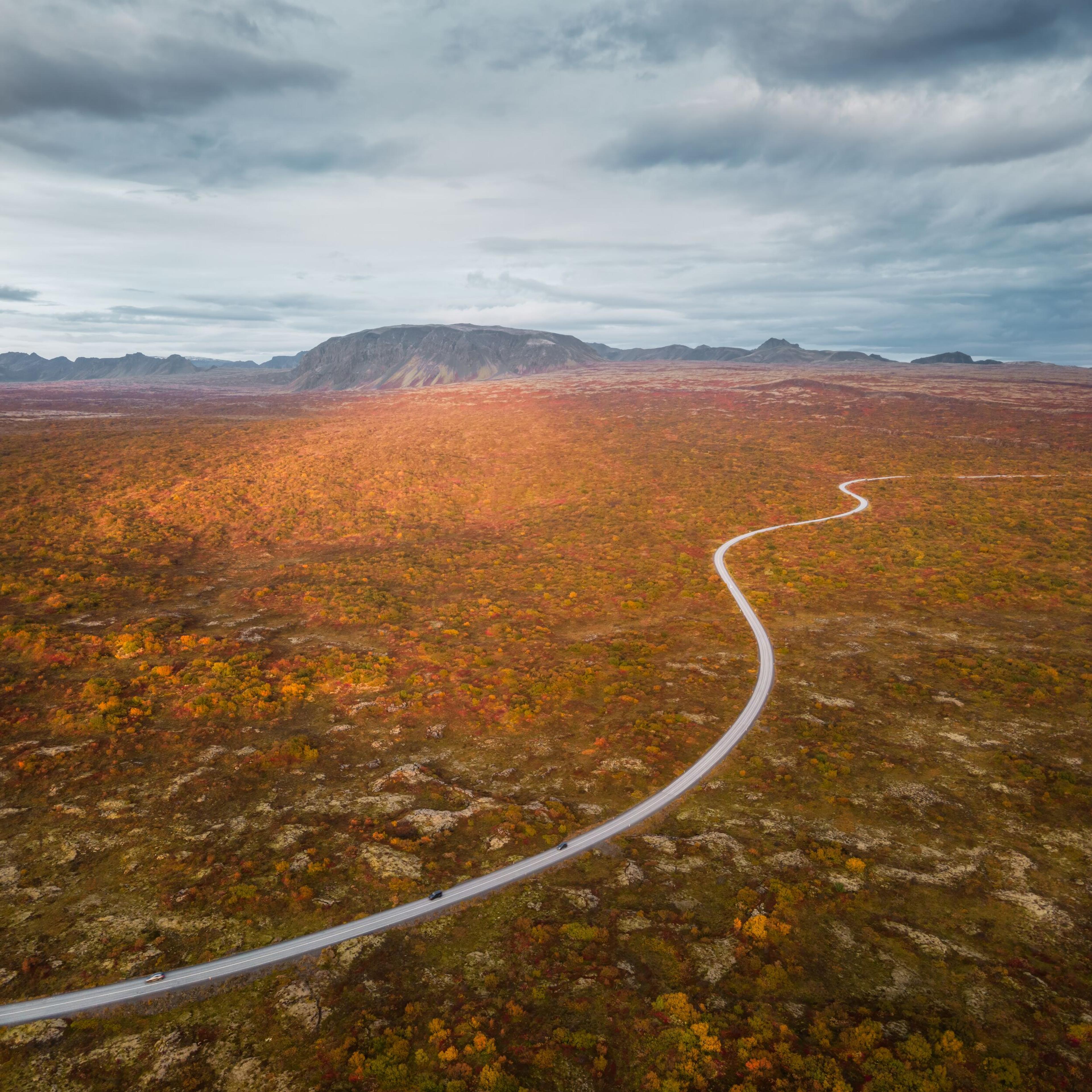 A winding road cuts through a vast expanse of autumn-colored tundra, stretching towards the horizon under a cloudy sky, showcasing the stark and beautiful wilderness.